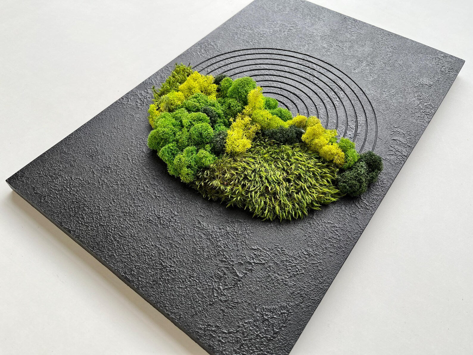 Moss Wall Decor – Handmade Preserved Green Wall Art for Home