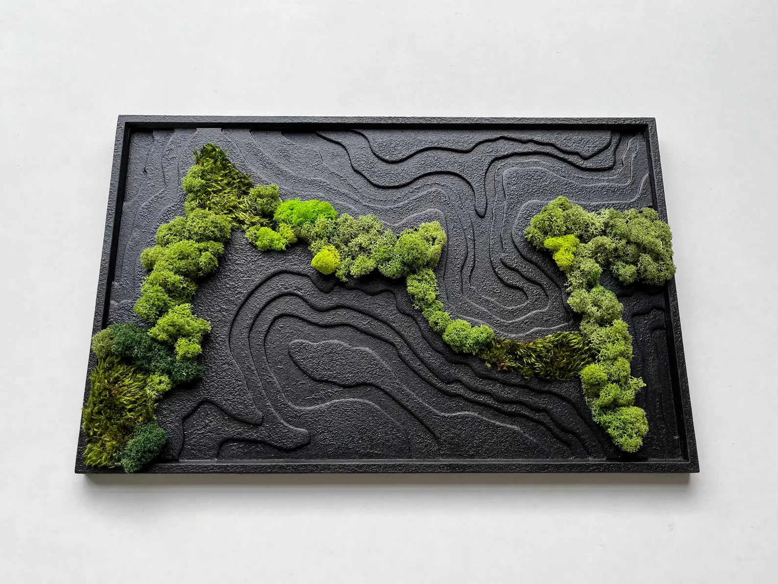 Black Topography Wall Art with Natural Preserved Moss – Modern Biophilic Decor