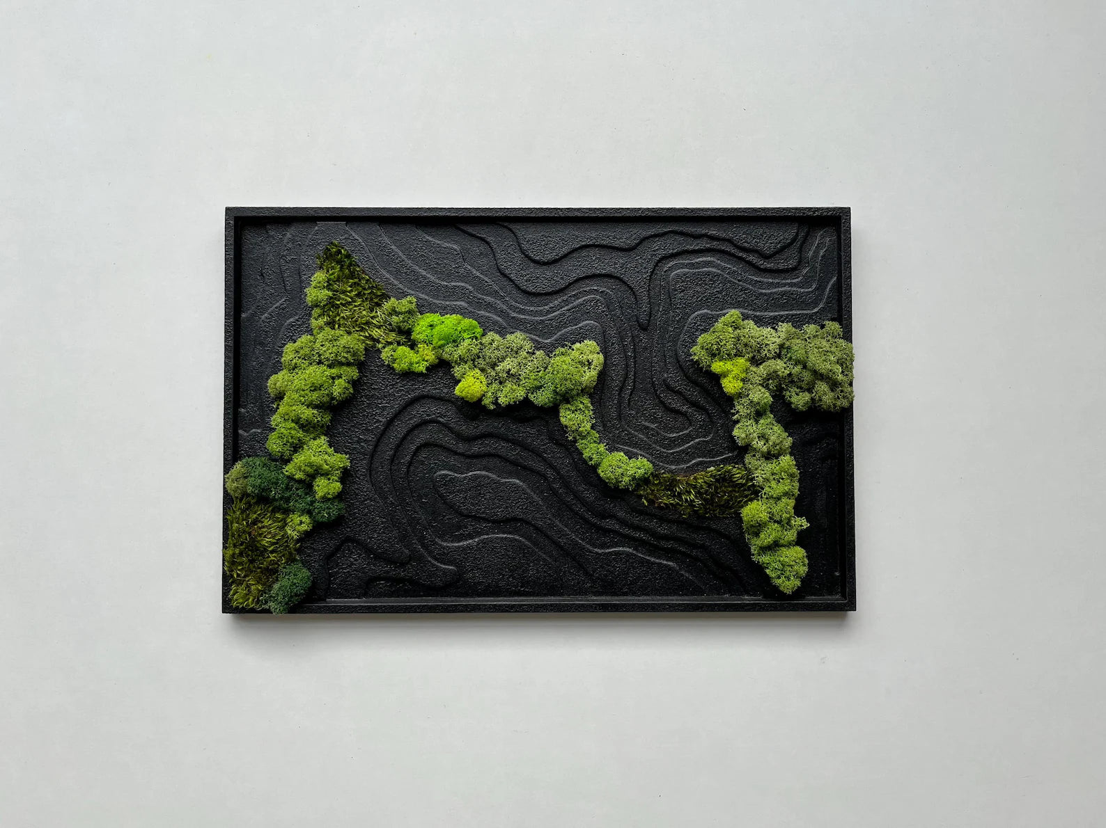 Black Topography Wall Art with Natural Preserved Moss – Modern Biophilic Decor