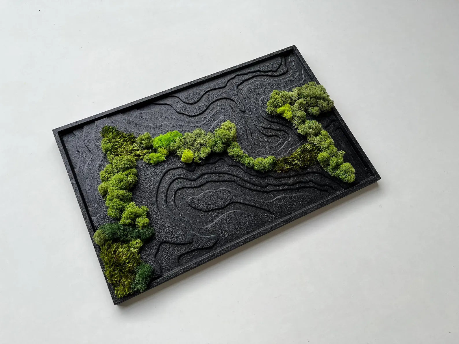 Black Topography Wall Art with Natural Preserved Moss – Modern Biophilic Decor