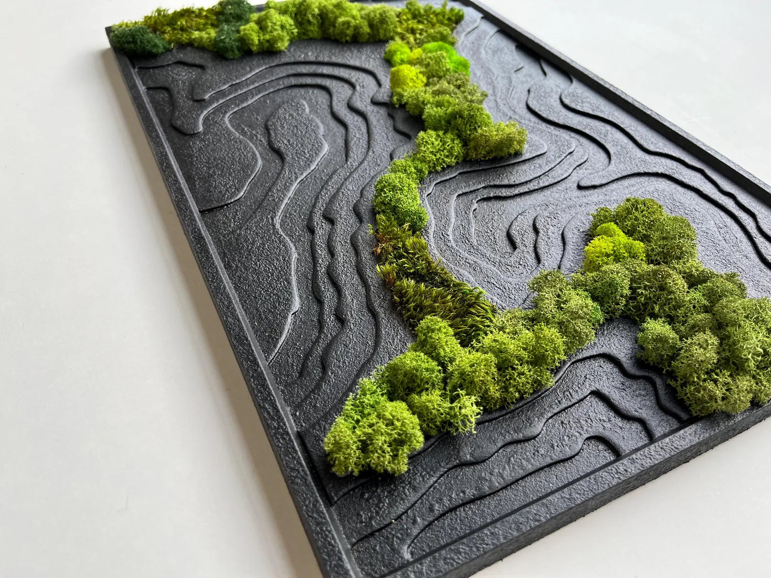 Black Topography Wall Art with Natural Preserved Moss – Modern Biophilic Decor