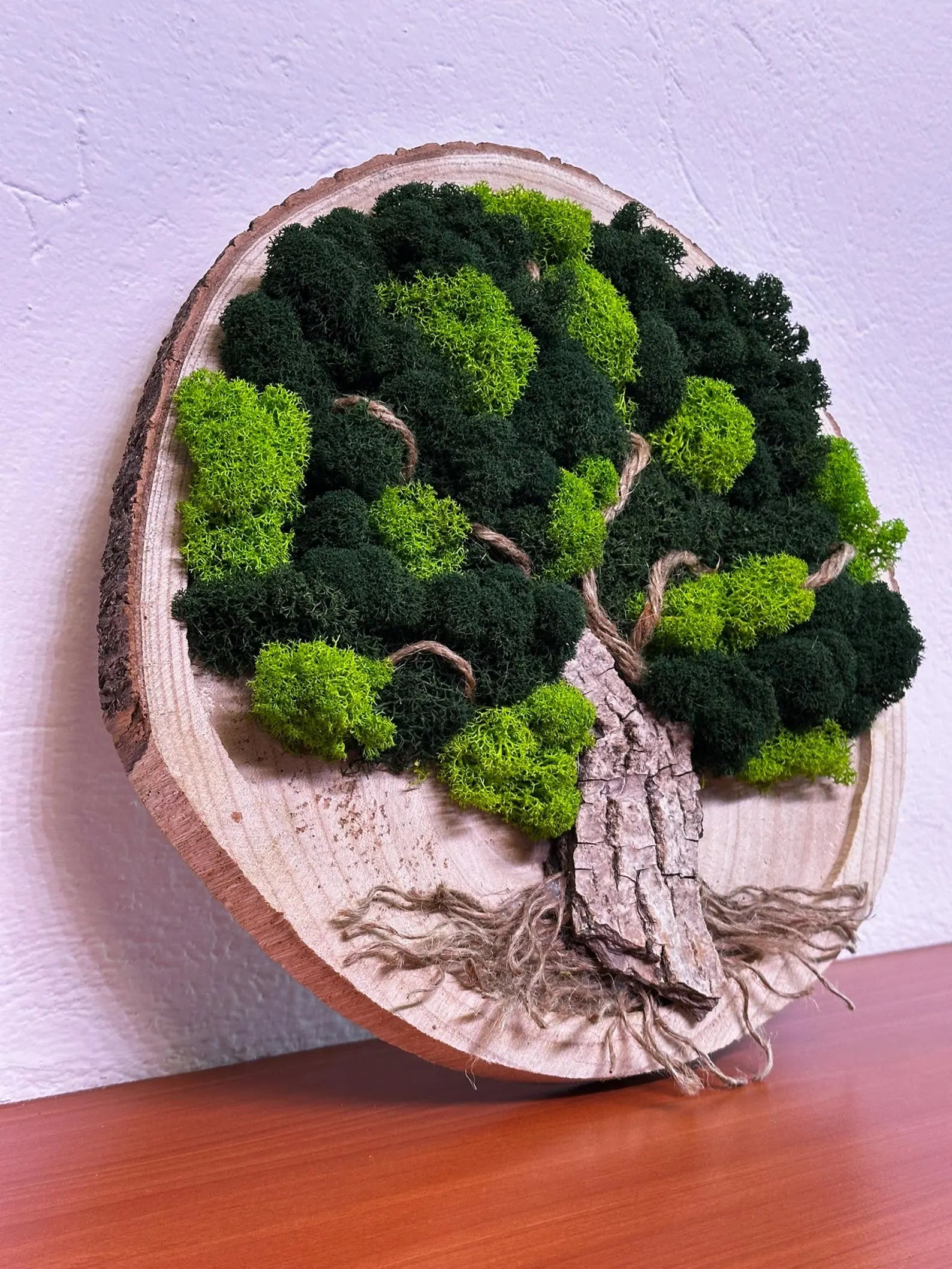 Tree of Life Moss Frame – Natural Wall Decor for Living Space