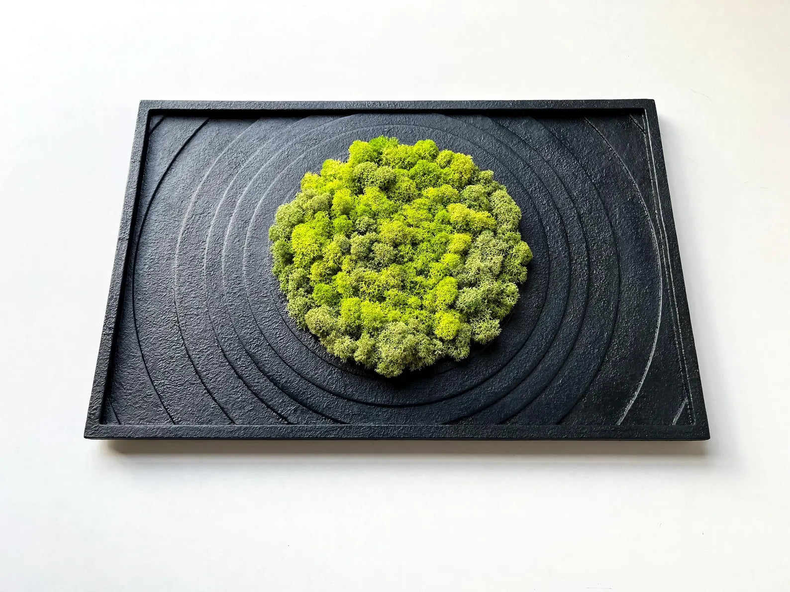 Textured Black Wall Art with Preserved Moss – Modern Home Decor