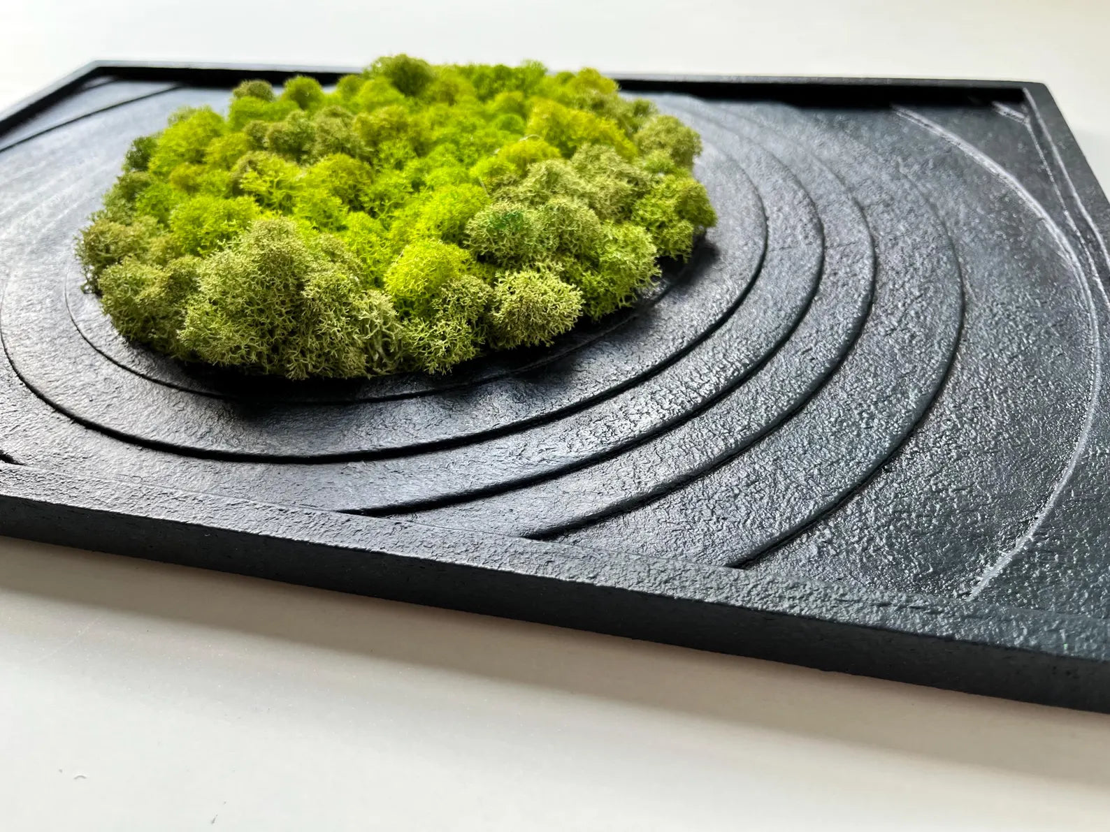 Textured Black Wall Art with Preserved Moss – Modern Home Decor