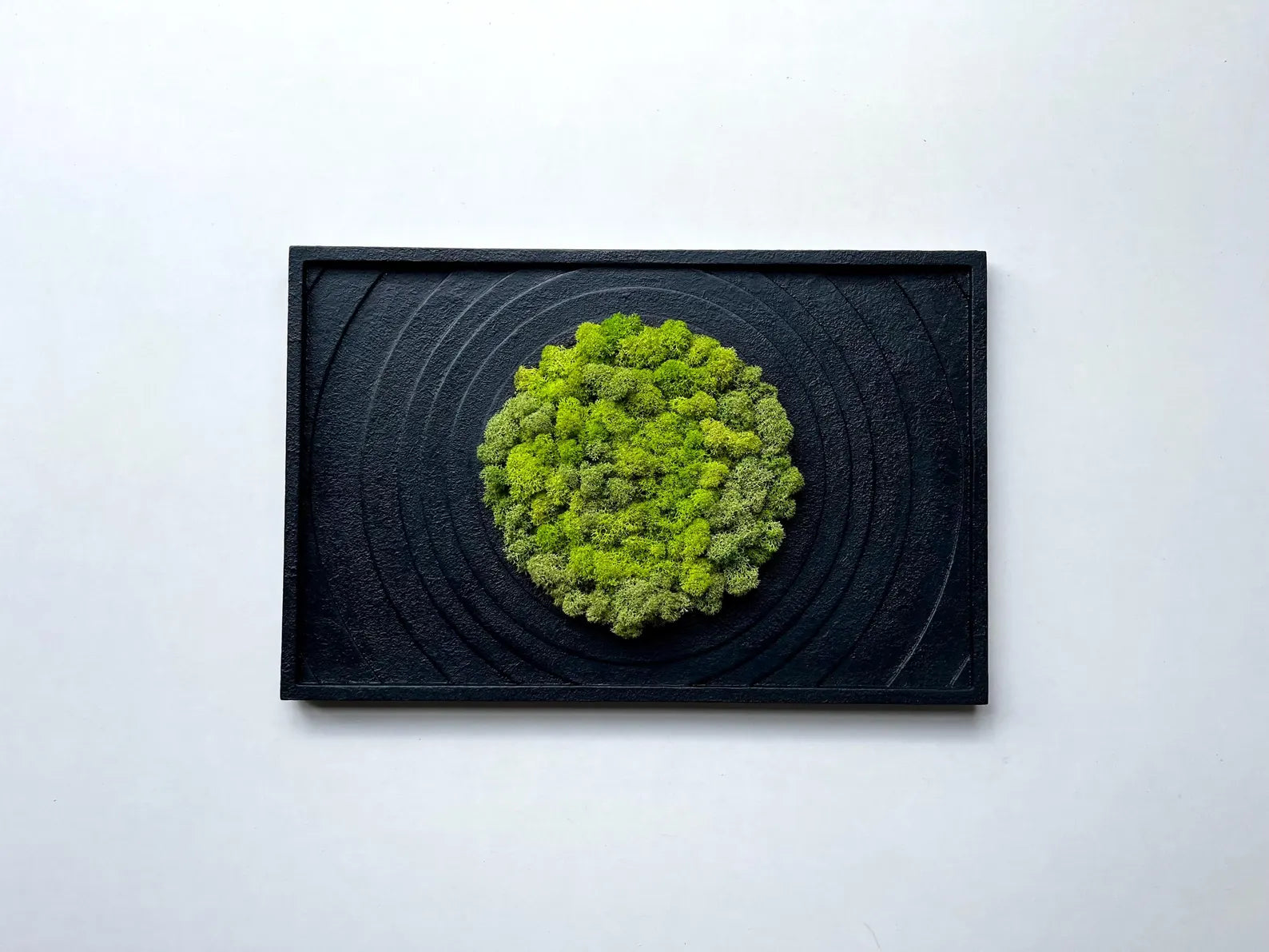 Textured Black Wall Art with Preserved Moss – Modern Home Decor