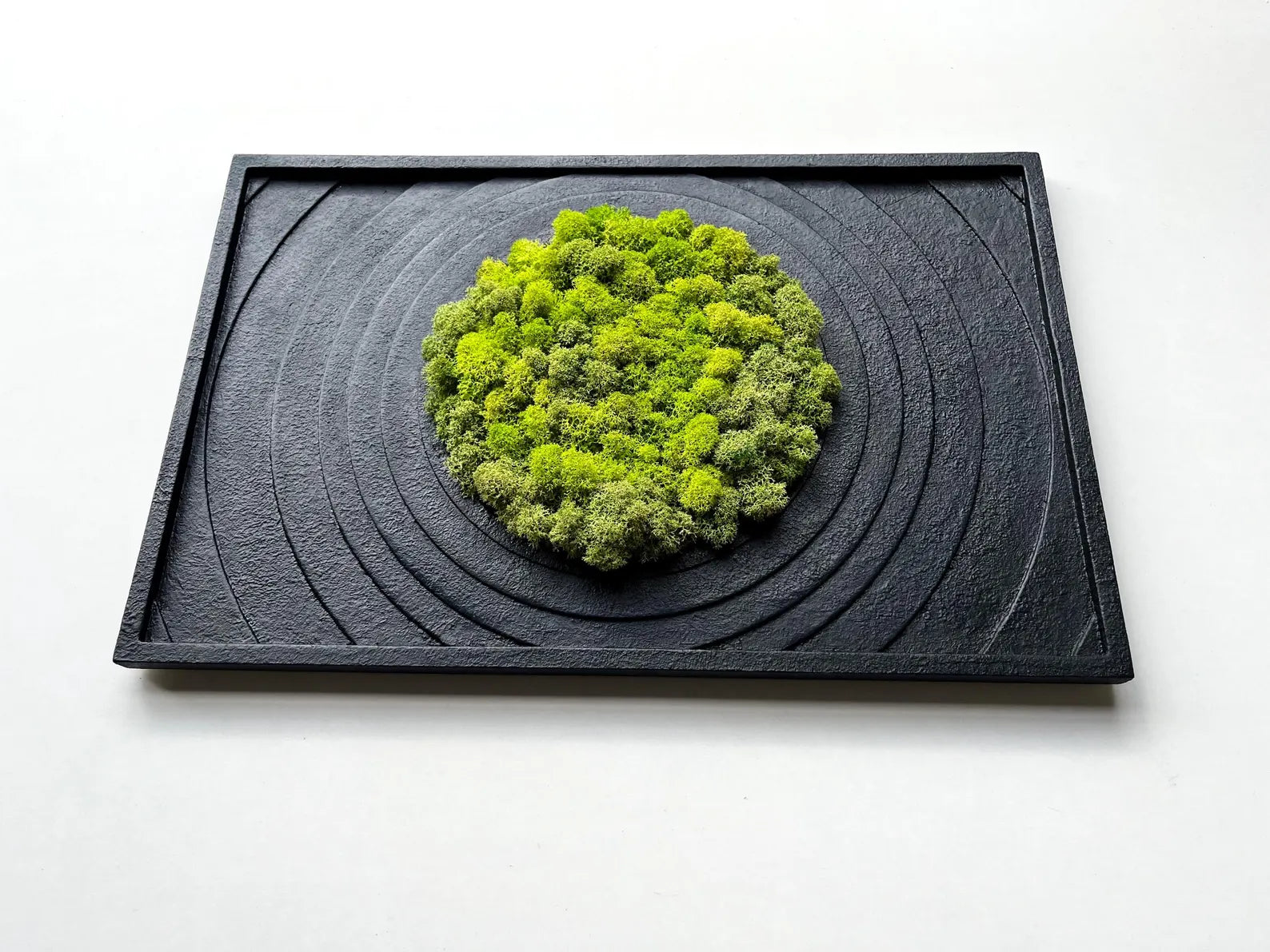 Textured Black Wall Art with Preserved Moss – Modern Home Decor