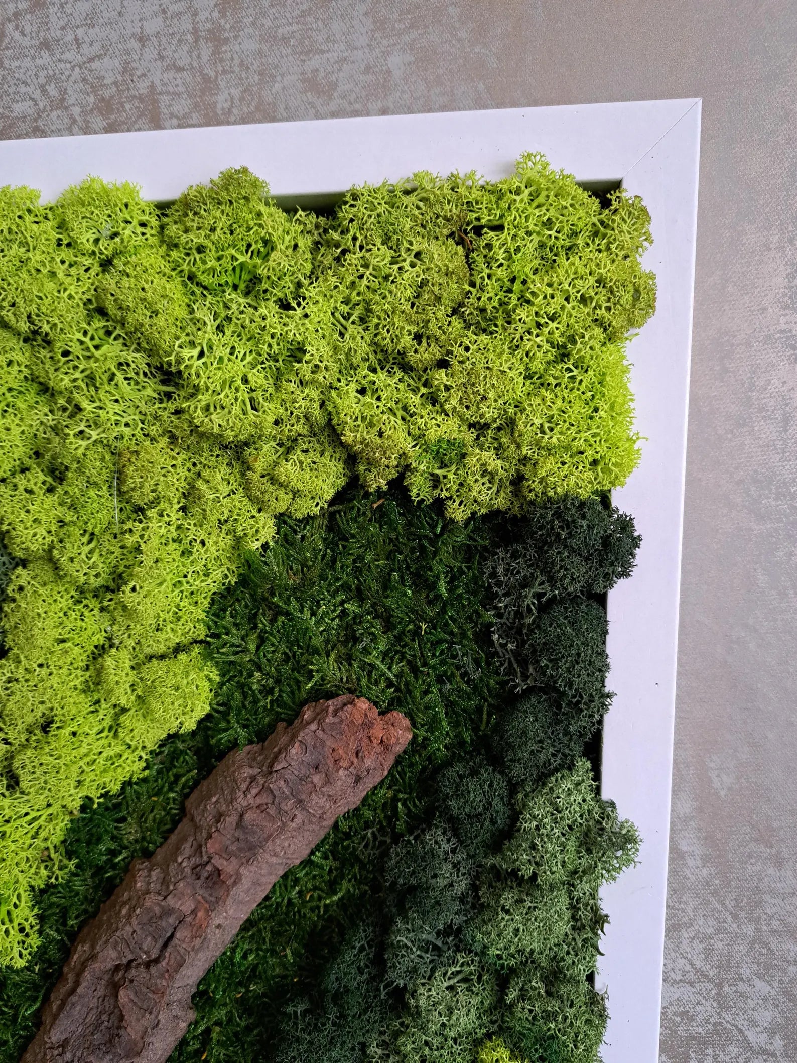 Green Wall Art – Preserved Moss Wall Art Installation for Modern Home Decor