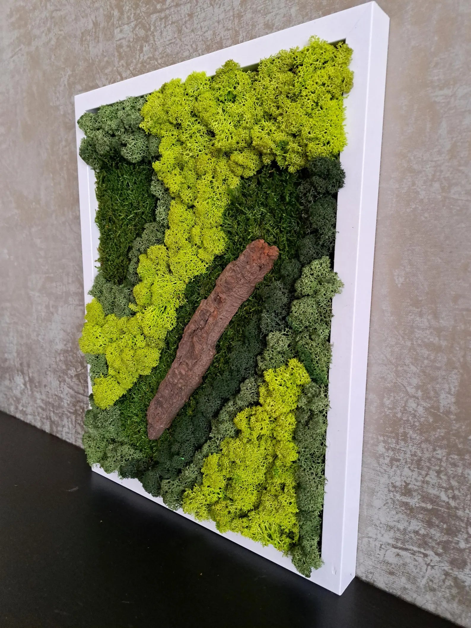 Green Wall Art – Preserved Moss Wall Art Installation for Modern Home Decor