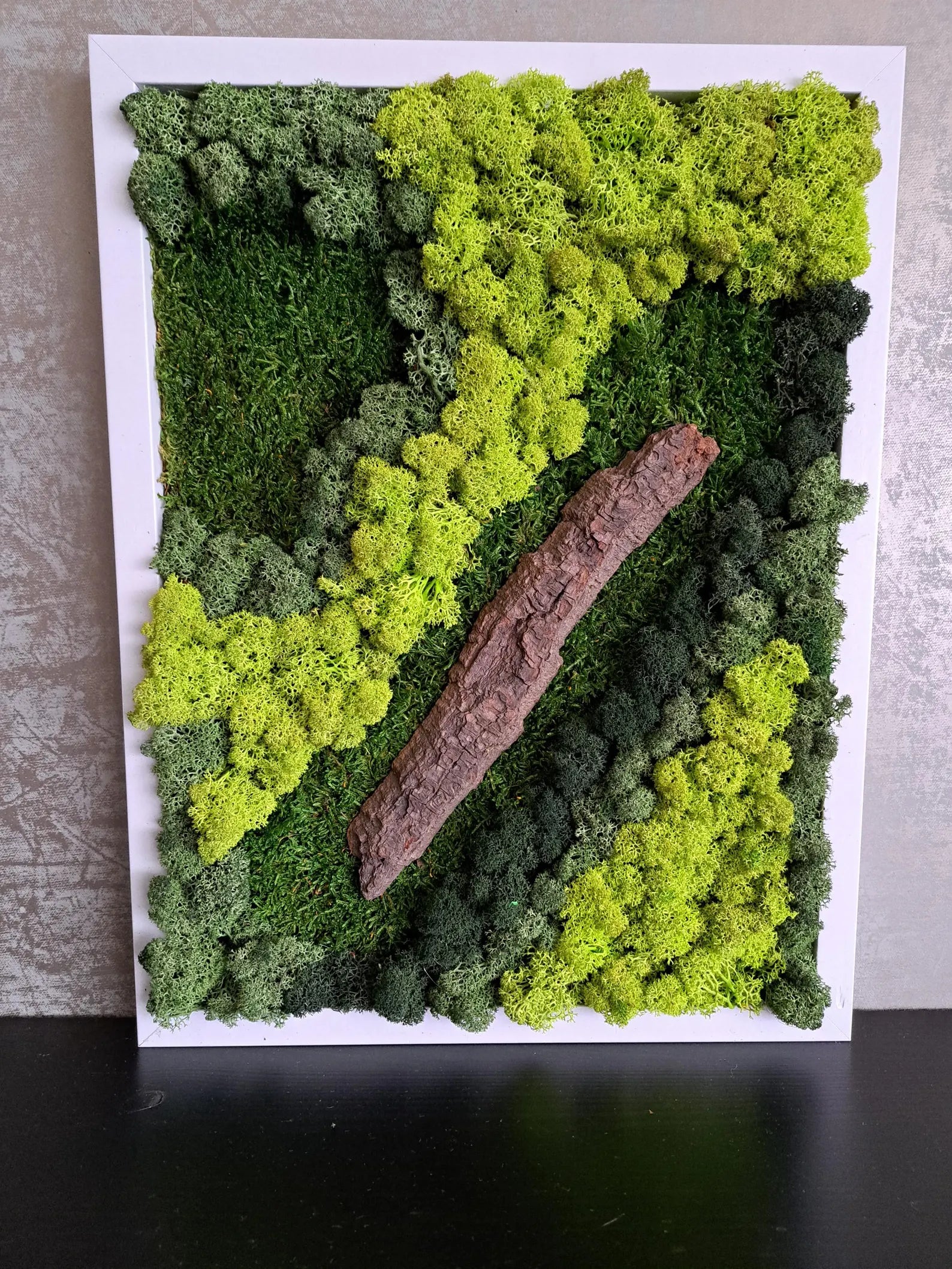 Green Wall Art – Preserved Moss Wall Art Installation for Modern Home Decor