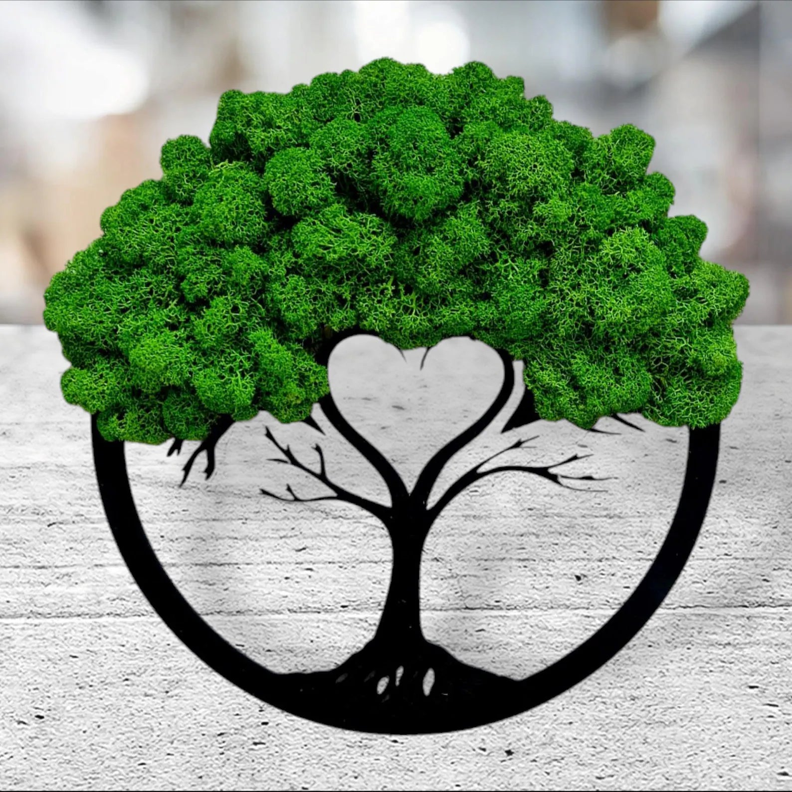 Premium Bonsai Tree Art – Round Preserved Reindeer Moss Wall Decor for Elegant Home Spaces