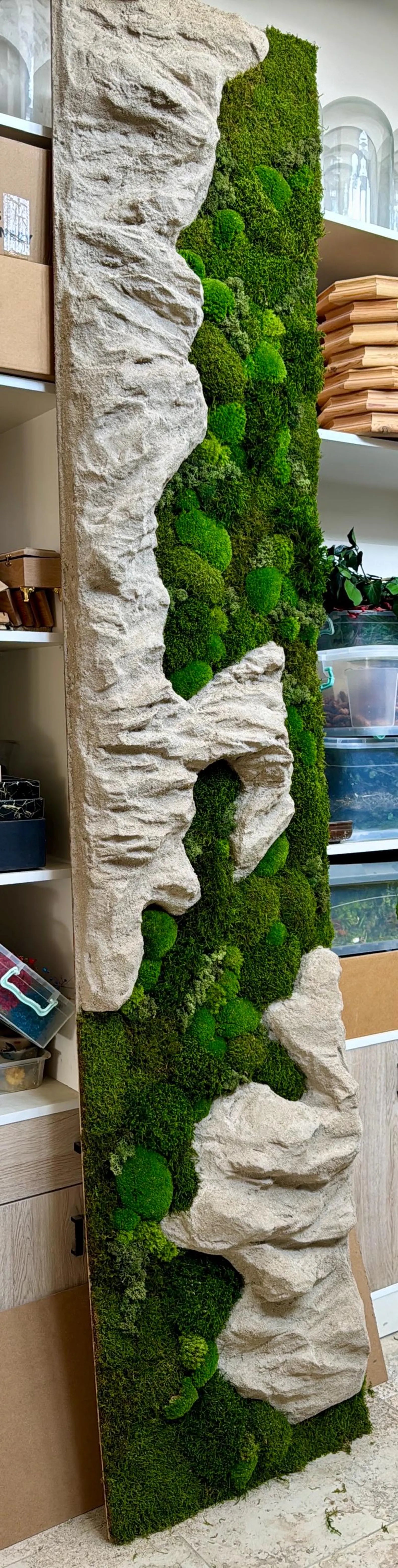 Natural Rock Moss Wall Art – Preserved Green Decor with Wood & Stone Details | Modern Nature-Inspired Gift