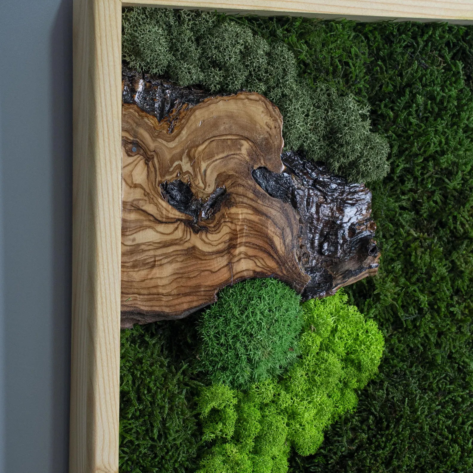 Tree-Inspired Moss Wall Art – Olive Wood Home Decoration