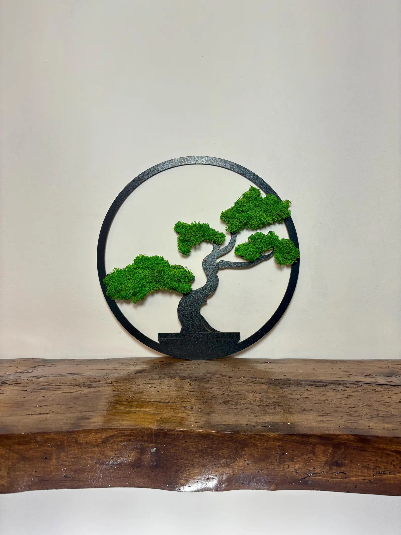 Handmade Moss Bonsai Tree – Natural Zen Wall Decor