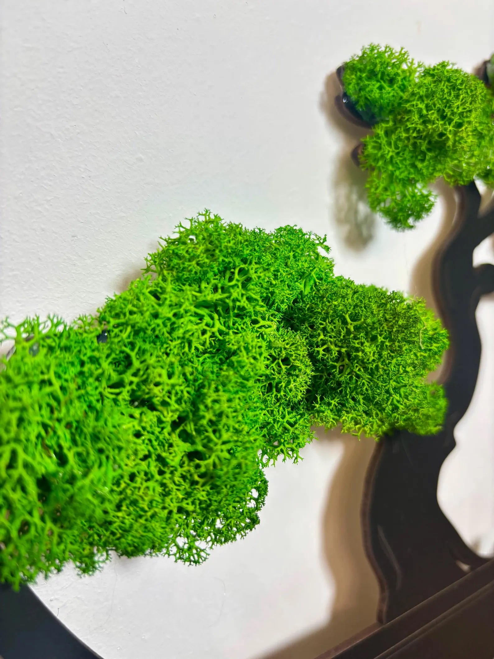 Handmade Moss Bonsai Tree – Natural Zen Wall Decor