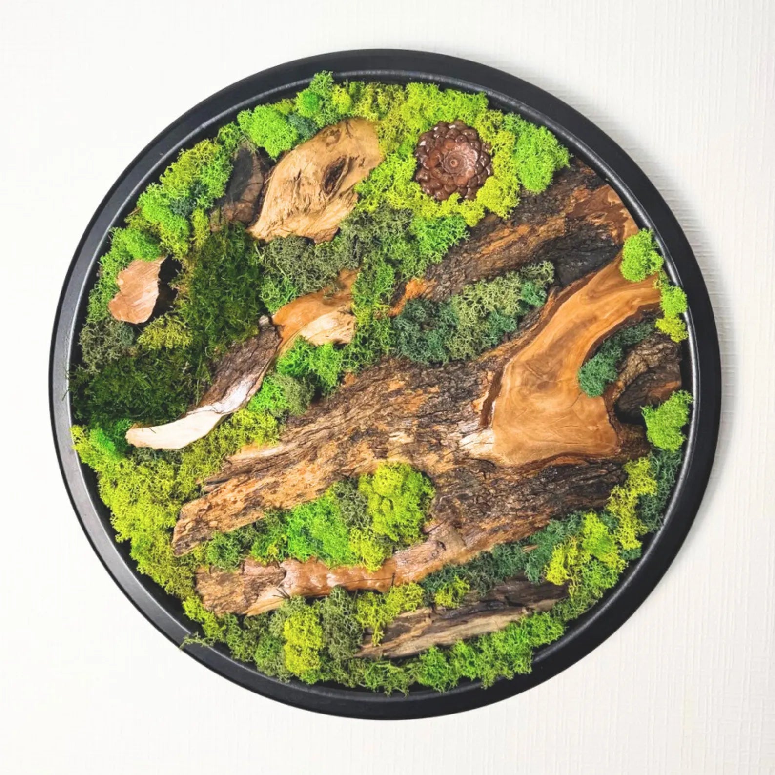 Moss and Wood Wall Art – Round Olive Wood Frame Set of 5 | Green Nature-Inspired Decor