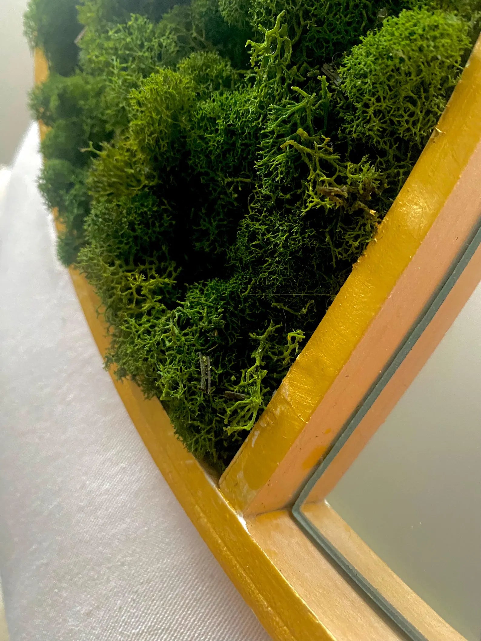 Maple Round Mirror with Basil Moss – Amazon Forest Design Wall Art (24”)
