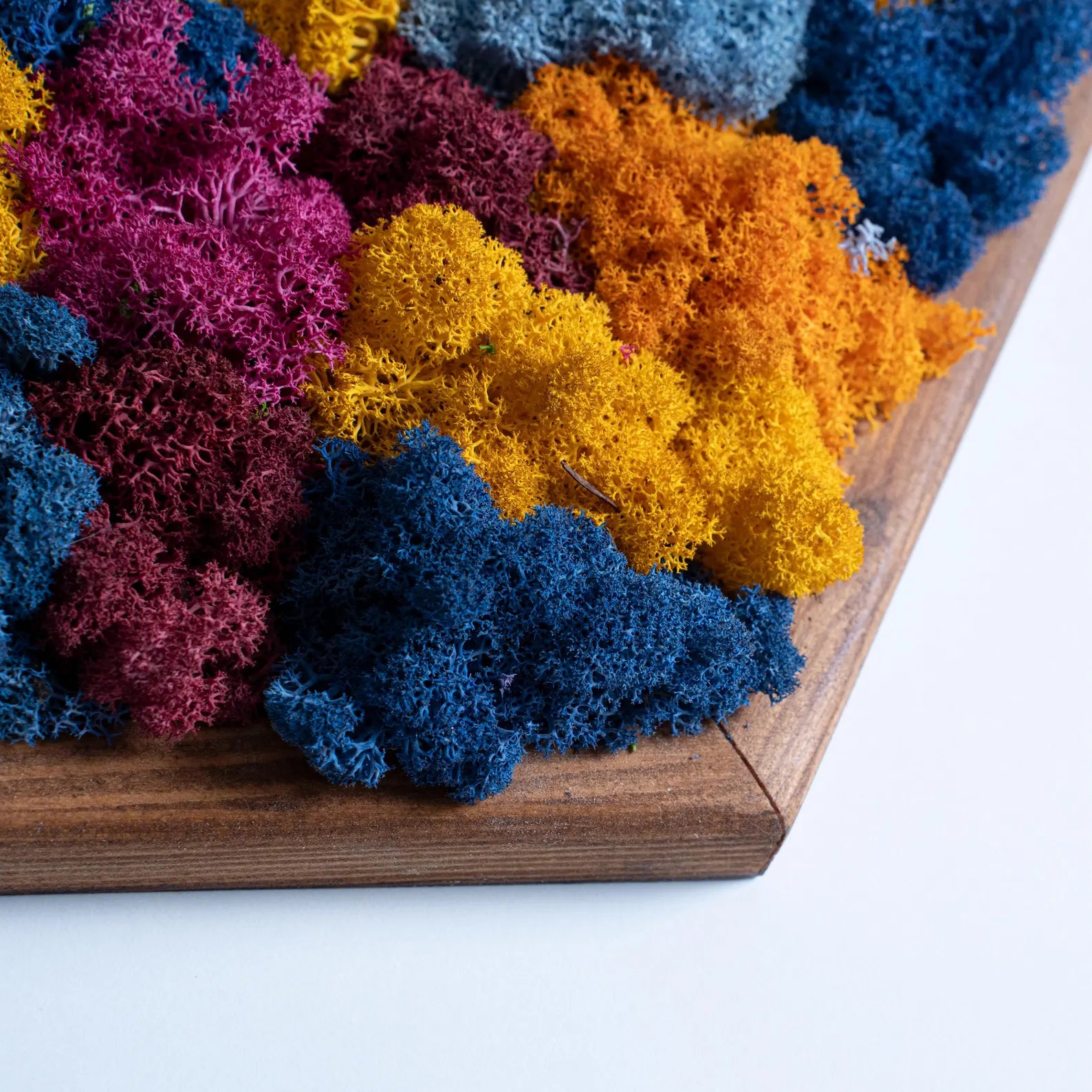 Honeycomb Moss Wall Art – Preserved Colorful Moss in Wooden Hexagon Frame