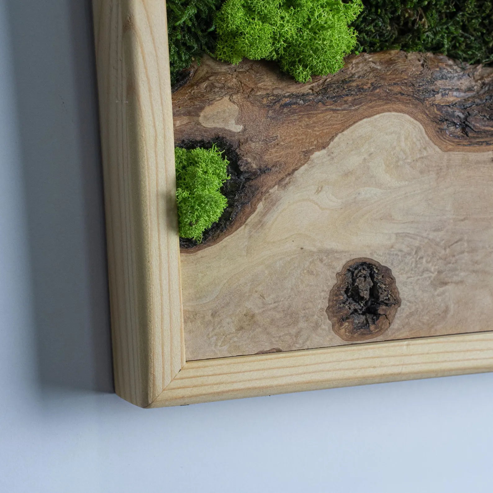 Tree-Inspired Moss Wall Art – Olive Wood Home Decoration