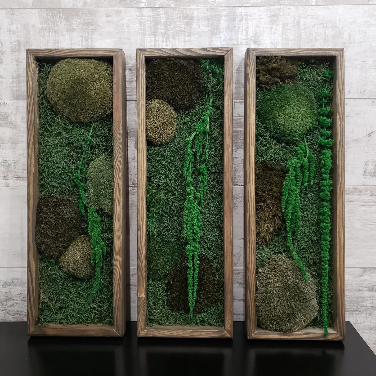 Large Moss Botanical Triptych – Handmade Wall Panel Nature Composition Eco Decor