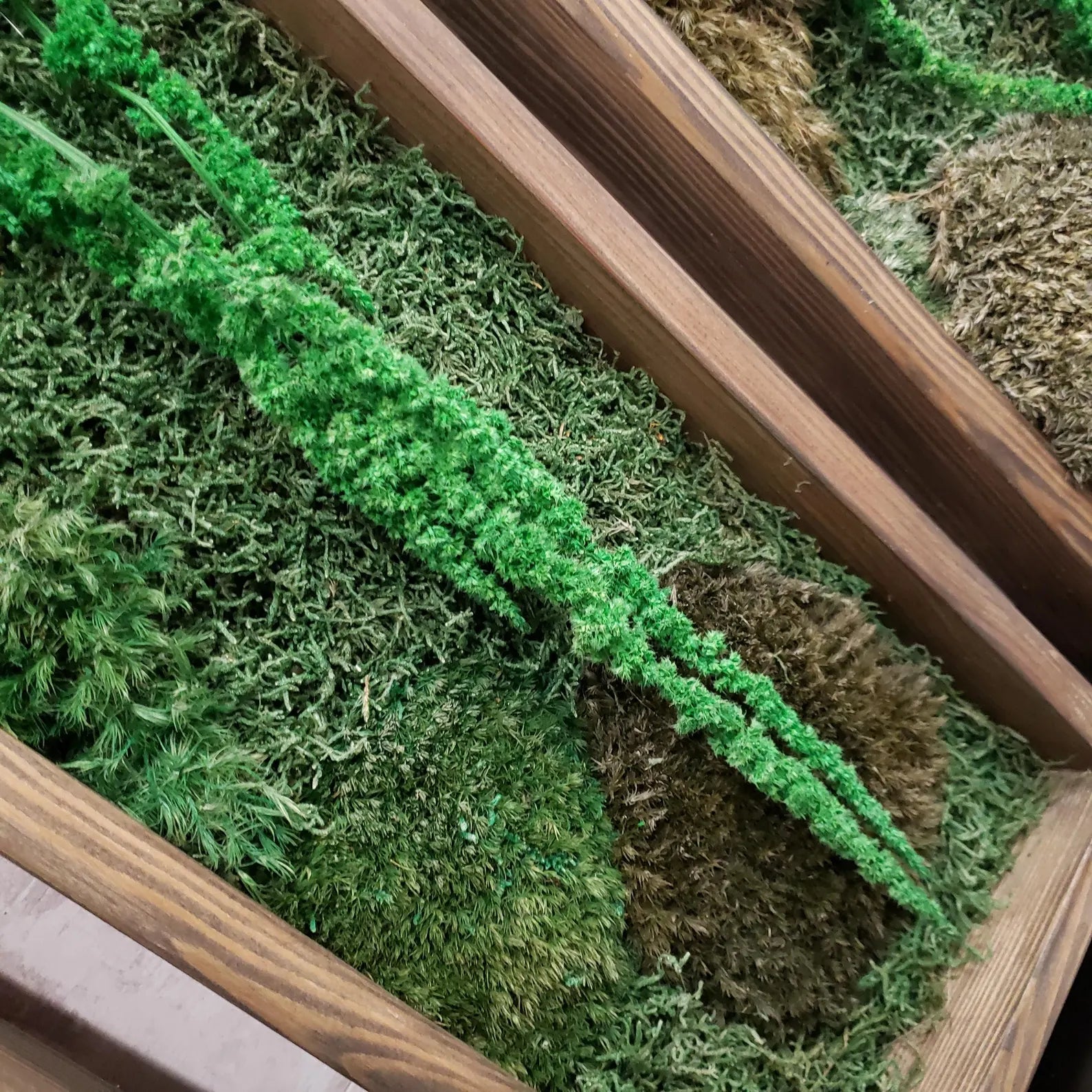 Large Moss Botanical Triptych – Handmade Wall Panel Nature Composition Eco Decor