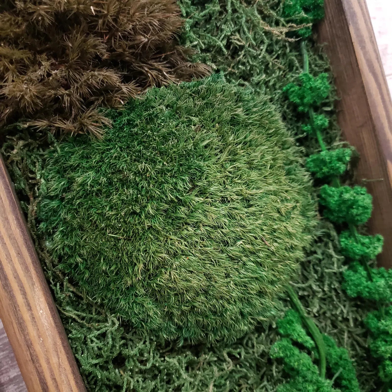 Large Moss Botanical Triptych – Handmade Wall Panel Nature Composition Eco Decor