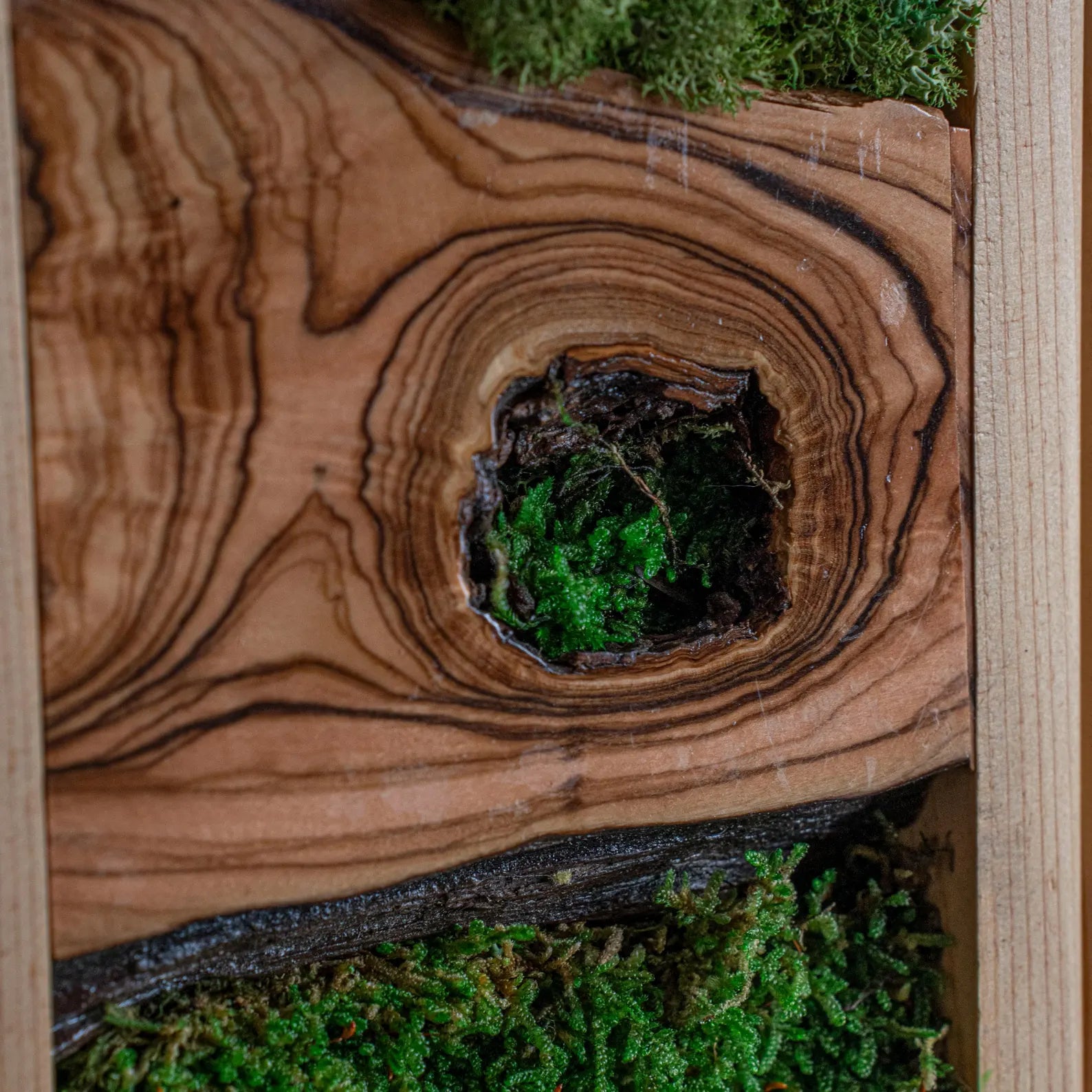 Preserved Moss and Olive Wood Wall Art – Rustic Wooden Frame Decor, Unique Gift