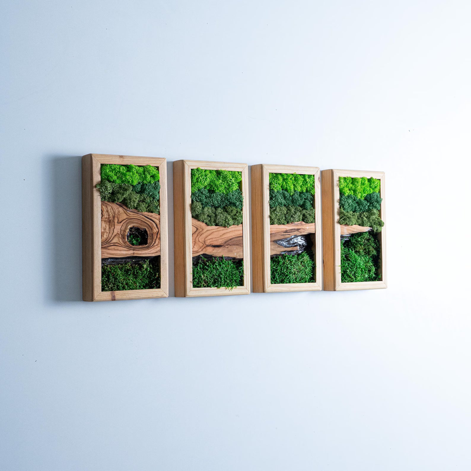 Preserved Moss and Olive Wood Wall Art – Rustic Wooden Frame Decor, Unique Gift