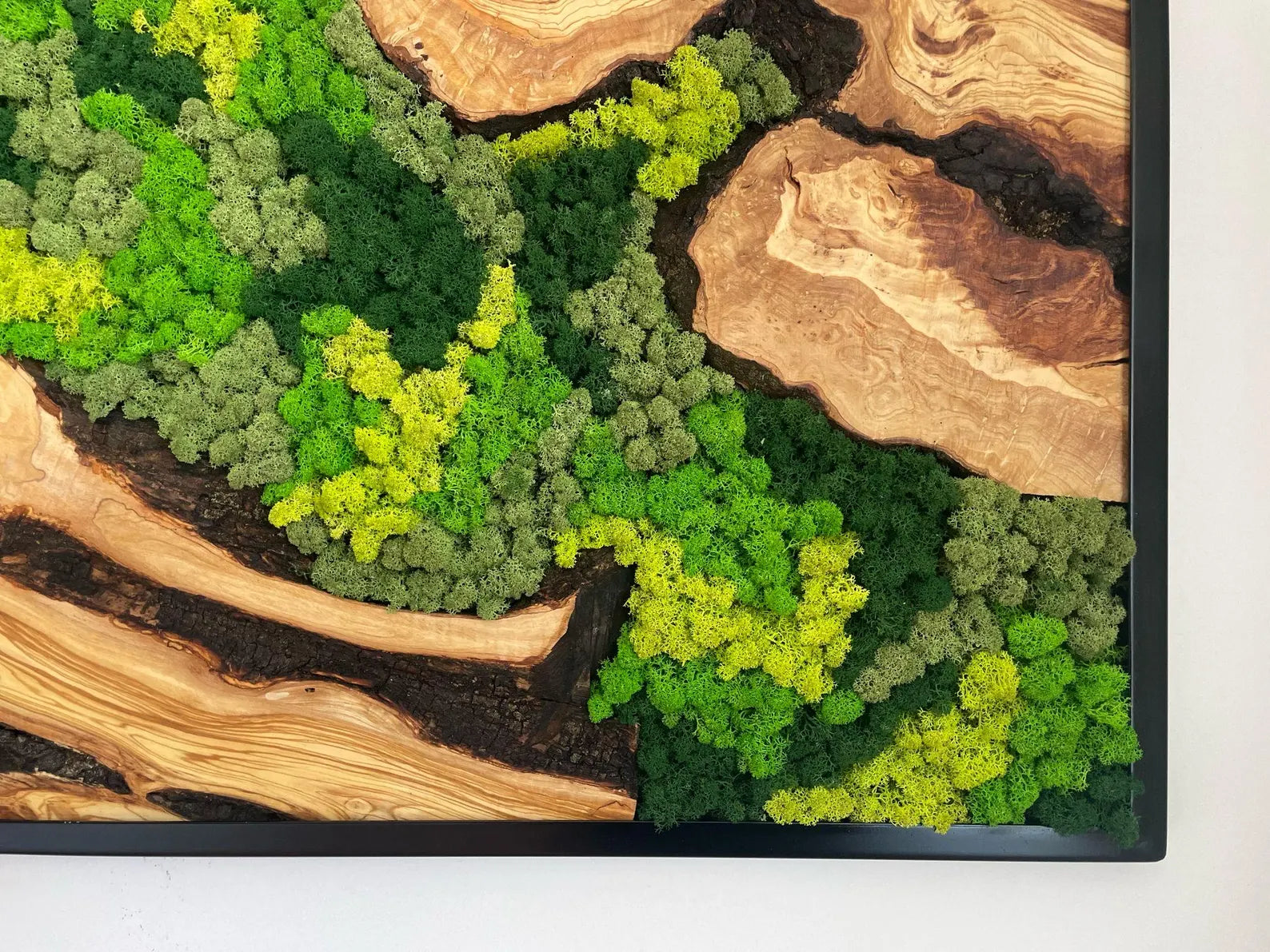 Handcrafted Olive Wood and Moss Wall Art – Natural Wall Decor for Home or Office