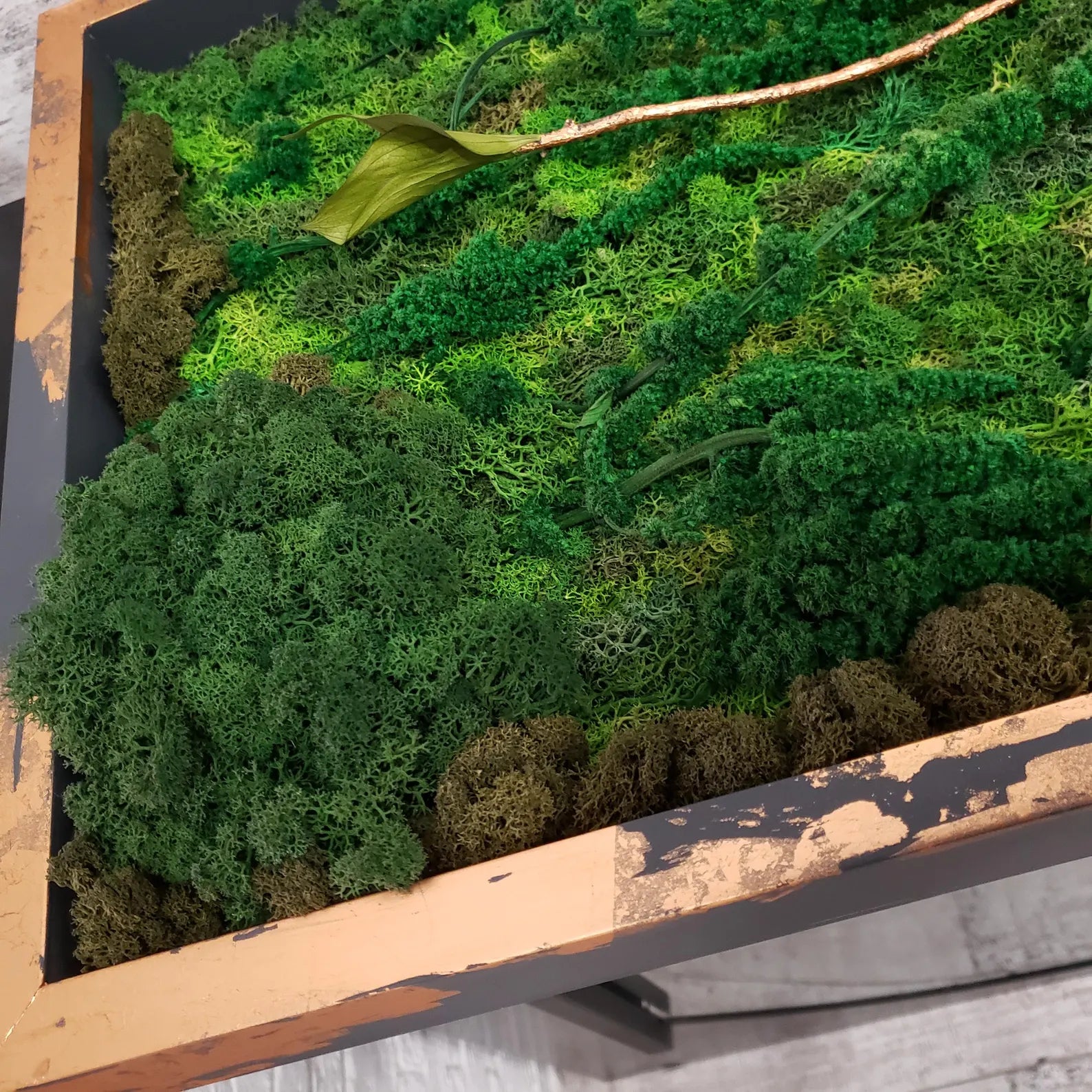 Moss Art Wall Decor – Natural Preserved Moss with Aluminum Frame