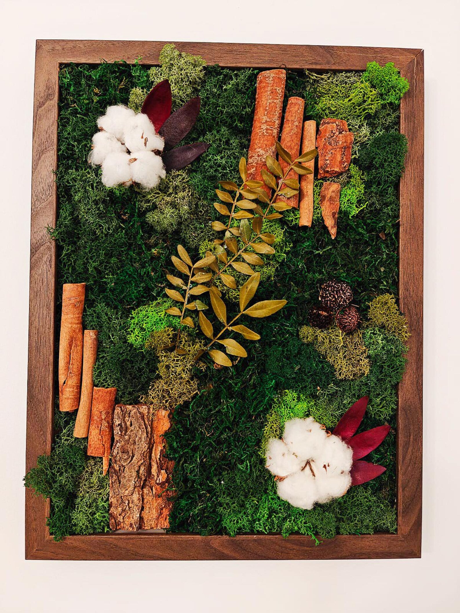 Preserved Moss Wall Art – Cotton Flowers, Cinnamon & Bark Natural Decor