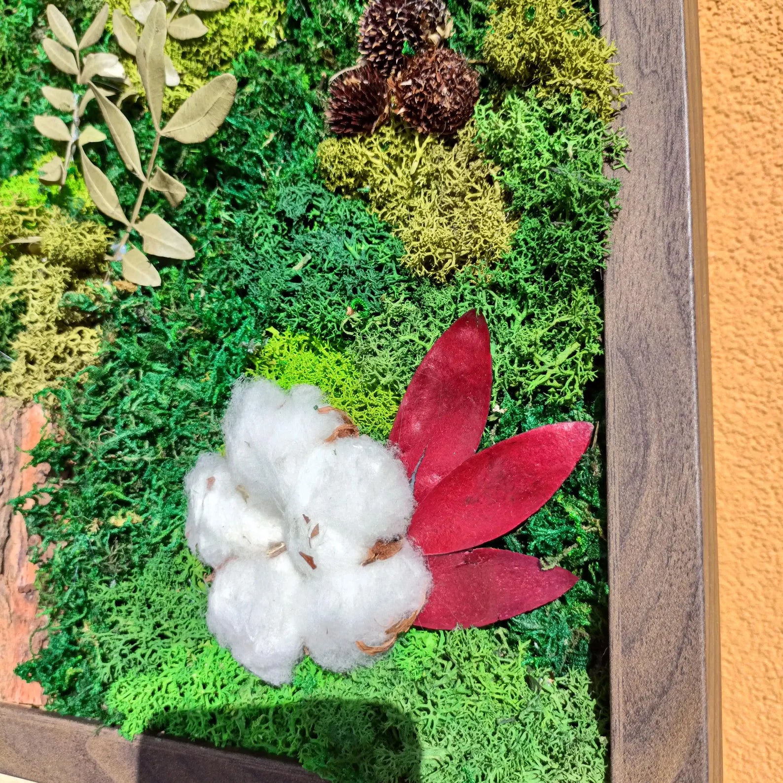 Preserved Moss Wall Art – Cotton Flowers, Cinnamon & Bark Natural Decor