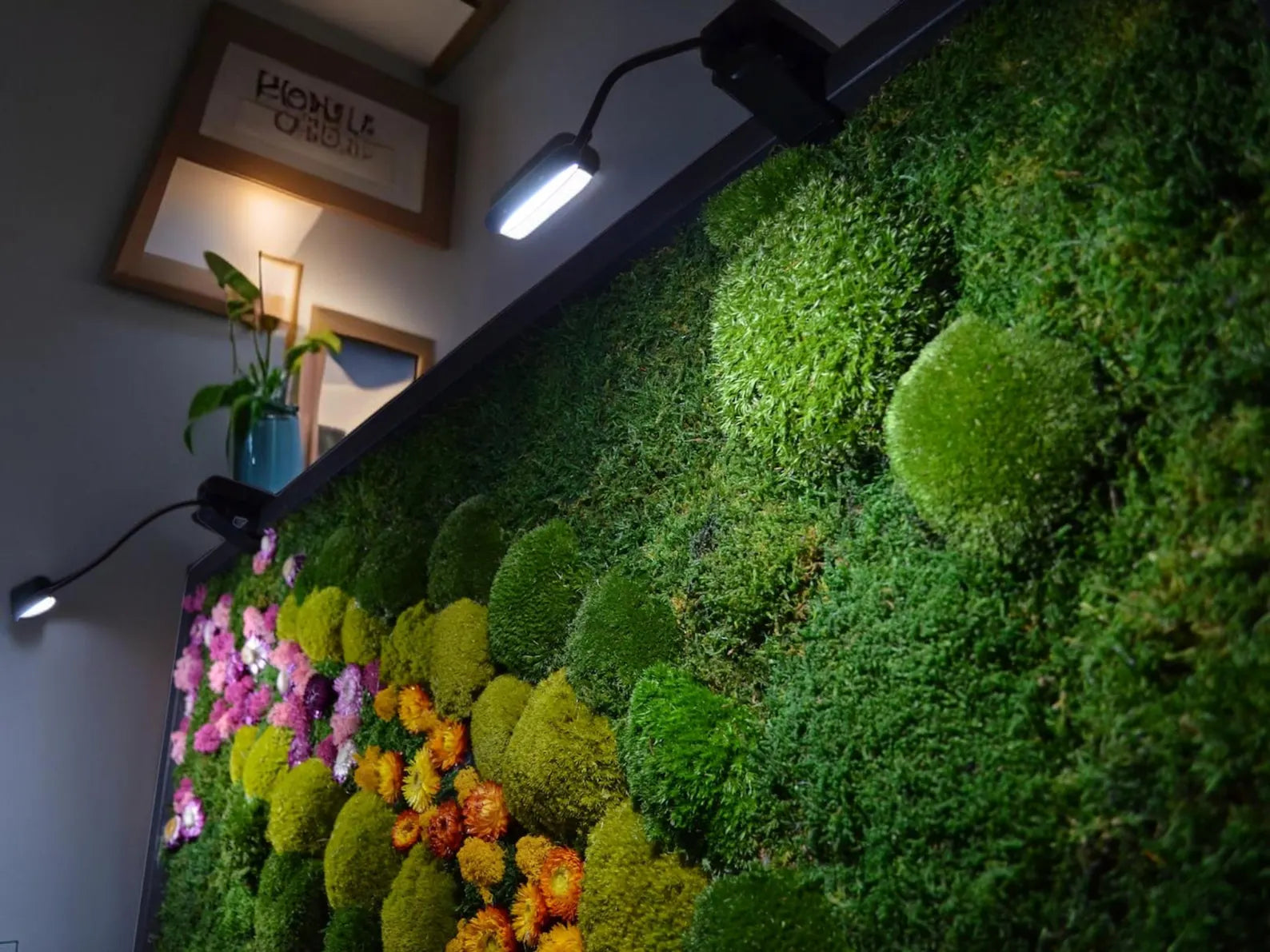 Multi-Toned Floral Moss Wall Art – Preserved Moss & Dried Flower Frame Décor