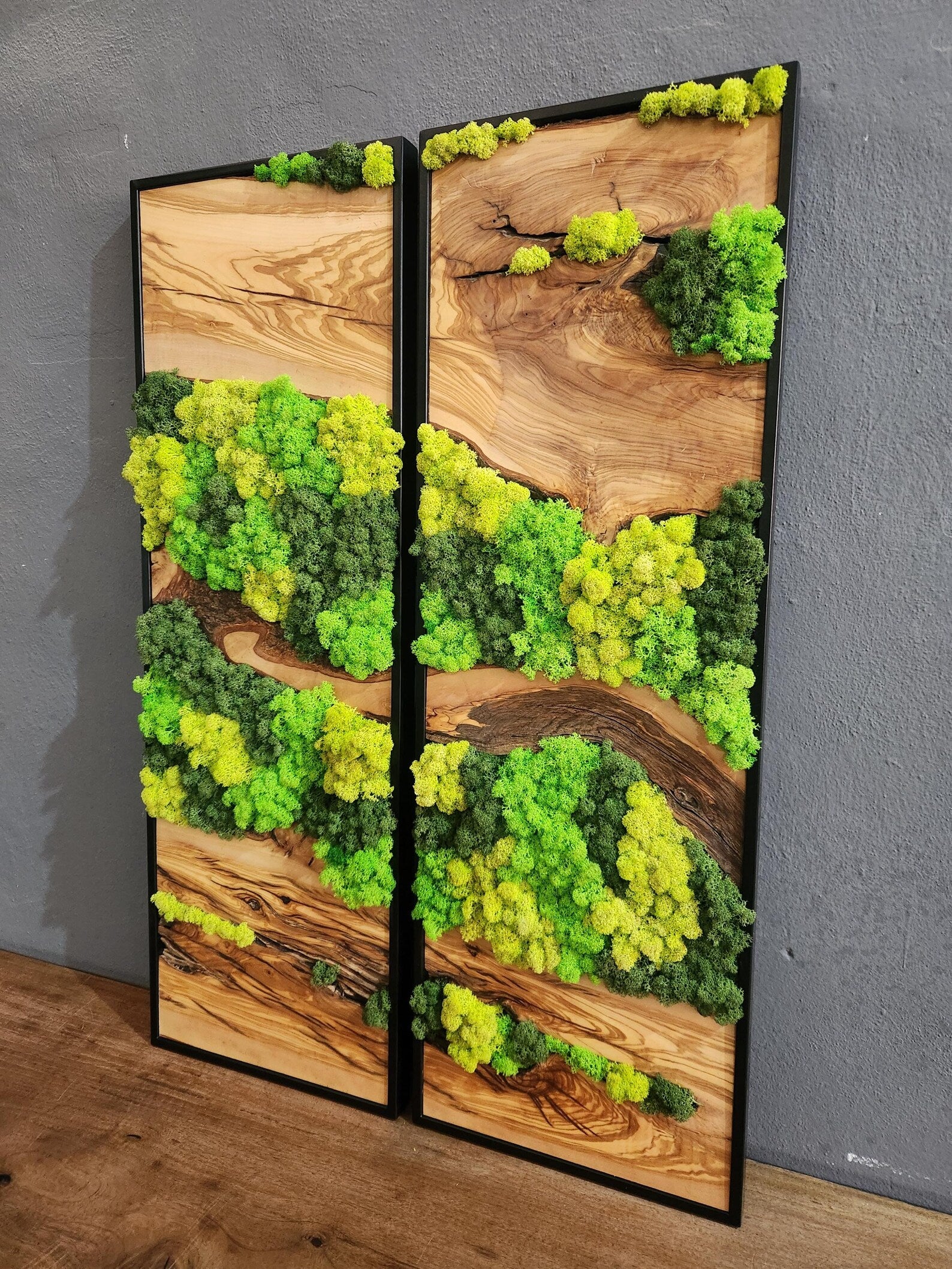 Olive Wood & Preserved Moss Wall Art – Unique Botanical Nature-Inspired Decor