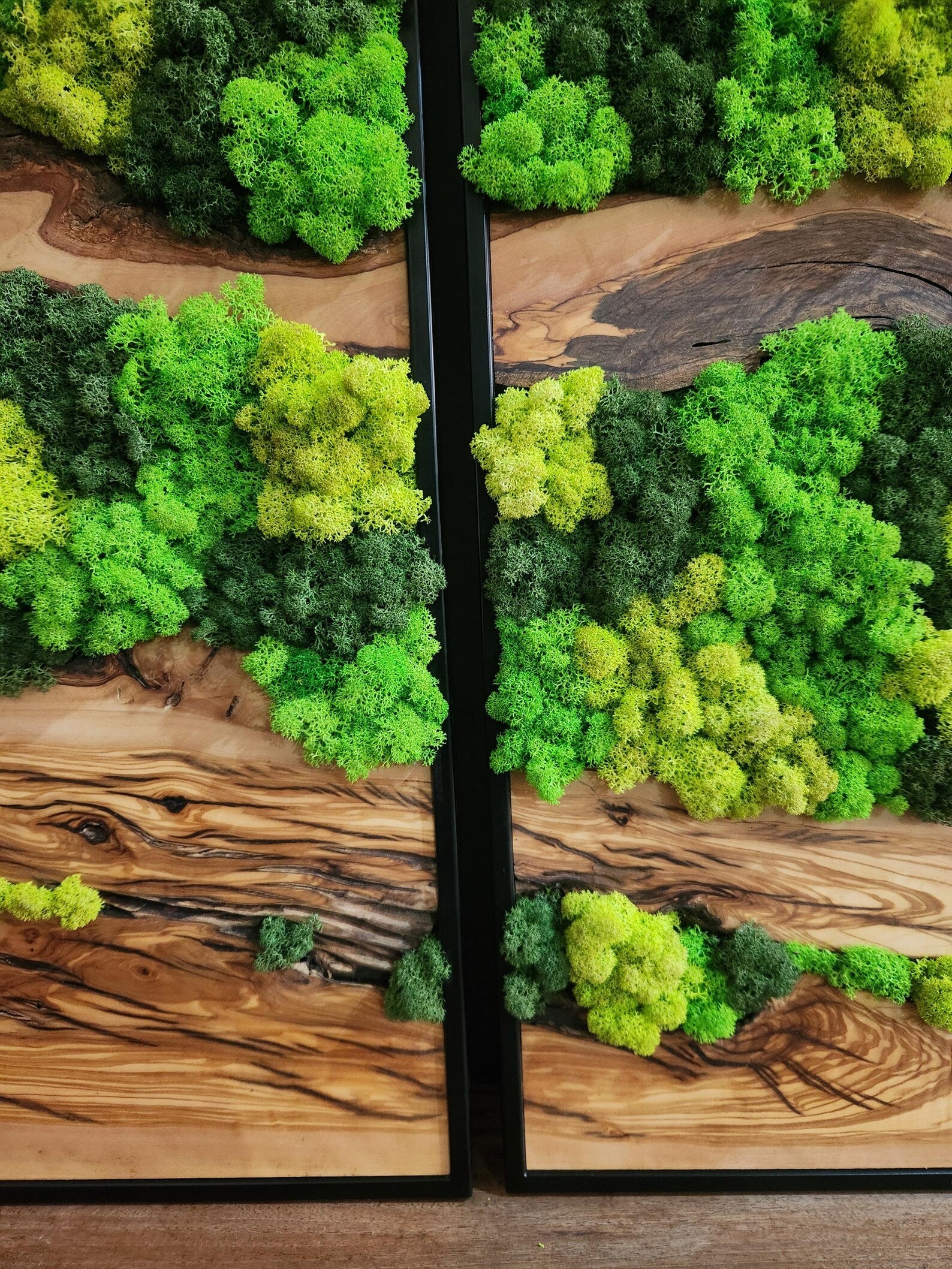 Olive Wood & Preserved Moss Wall Art – Unique Botanical Nature-Inspired Decor