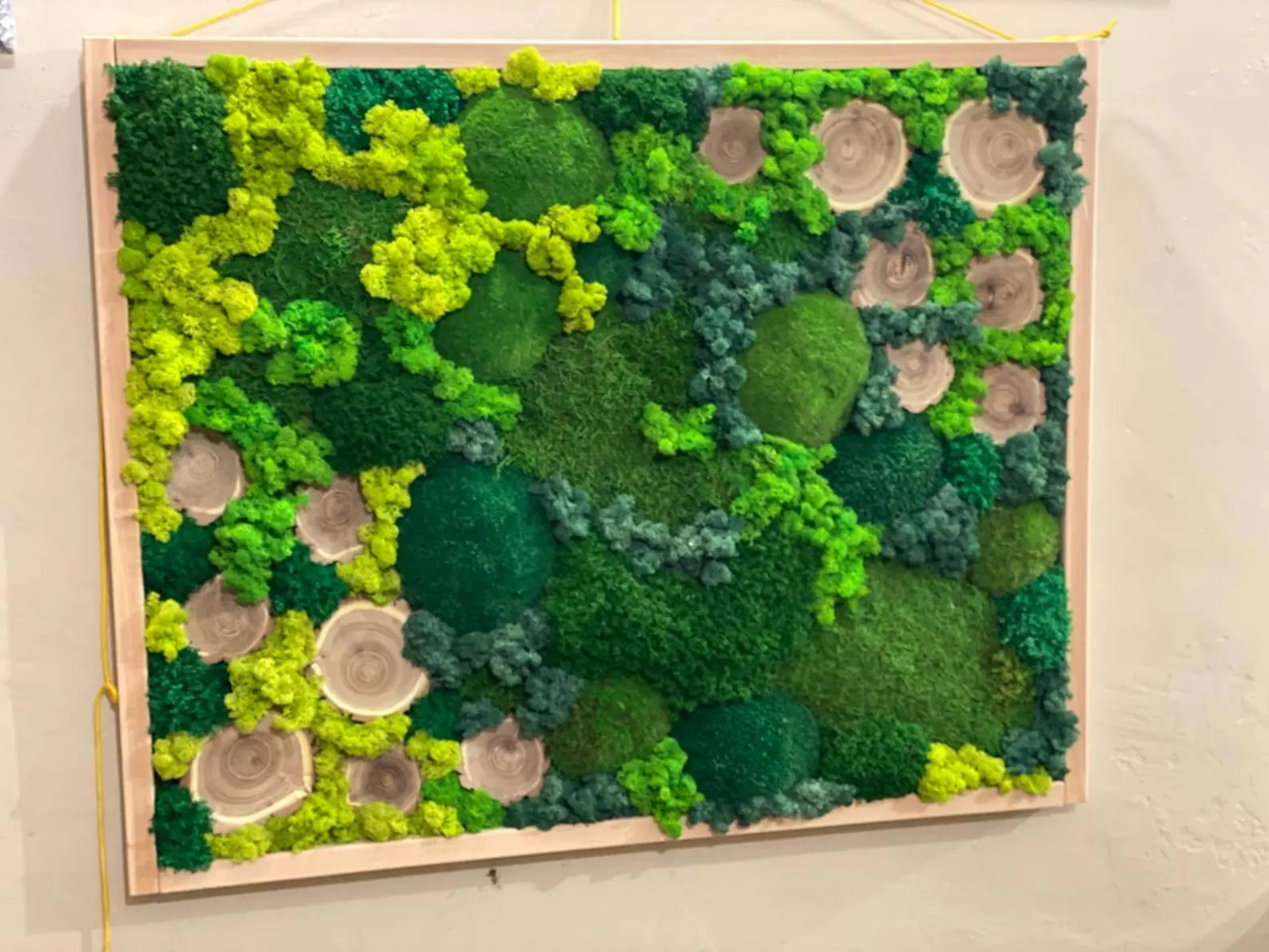 Moss Frame Wall Art – Preserved Green Moss Picture for Eco-Friendly Home Decor