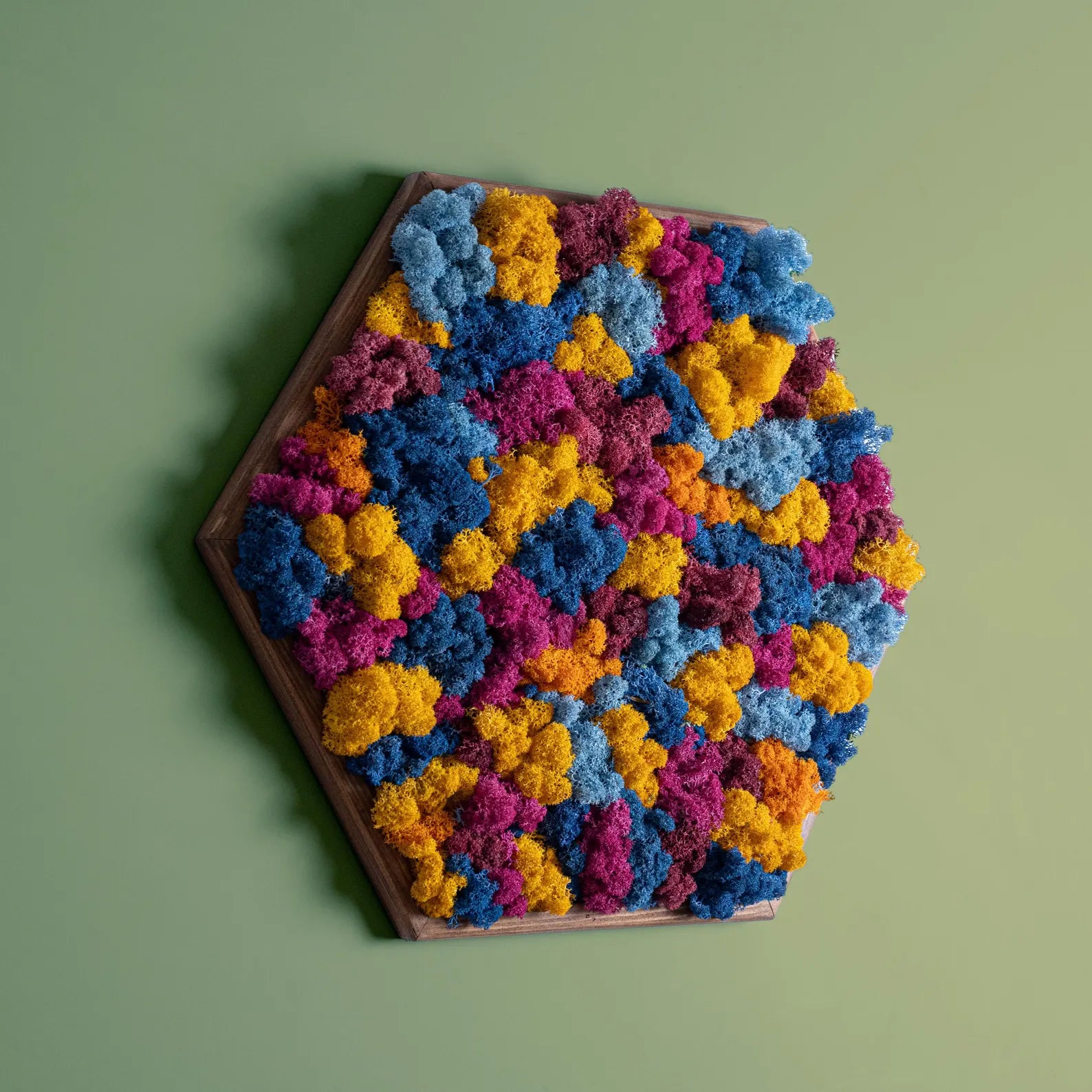 Honeycomb Moss Wall Art – Preserved Colorful Moss in Wooden Hexagon Frame