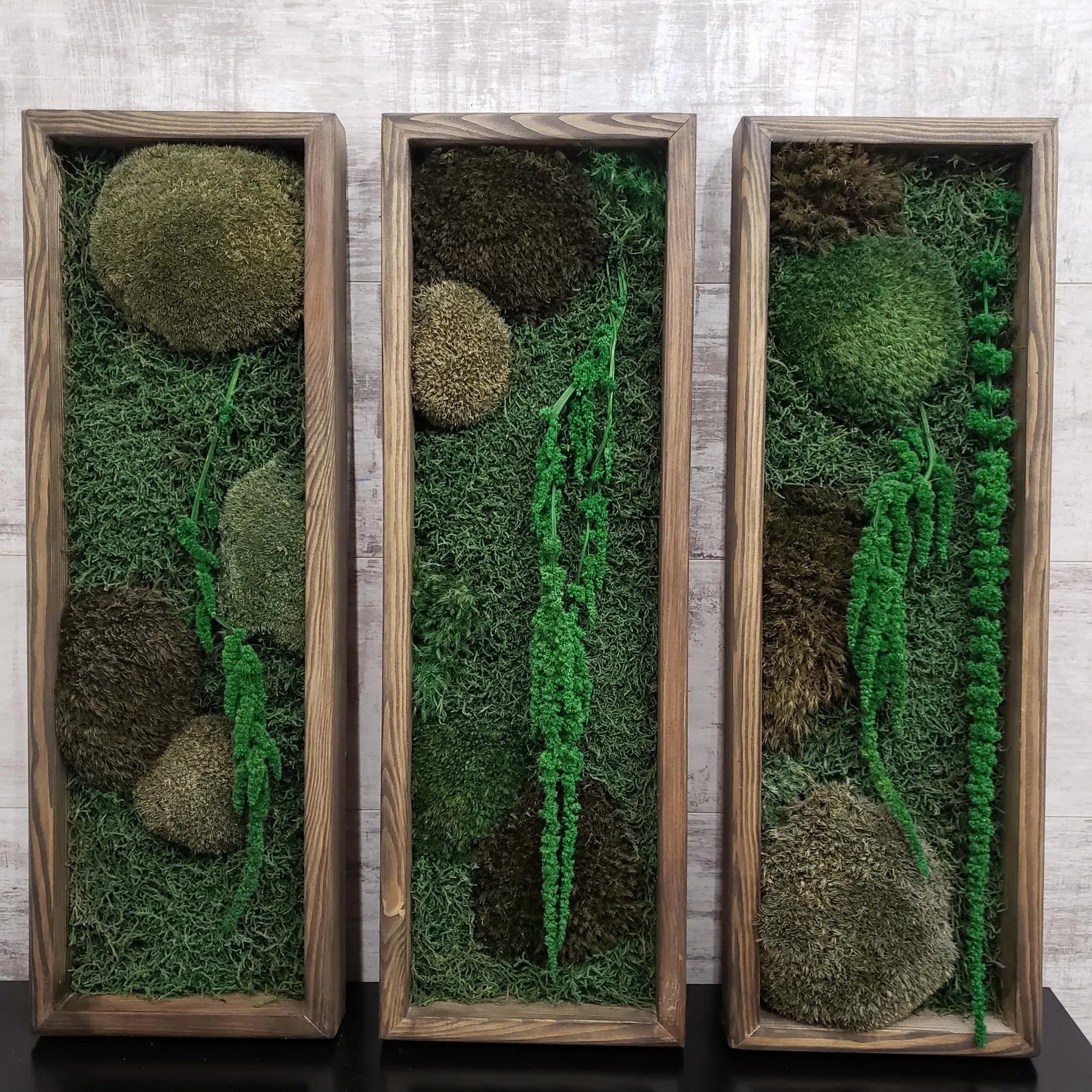 Large Moss Botanical Triptych – Handmade Wall Panel Nature Composition Eco Decor
