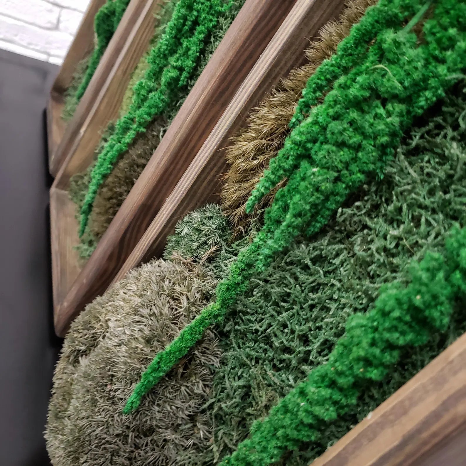 Large Moss Botanical Triptych – Handmade Wall Panel Nature Composition Eco Decor
