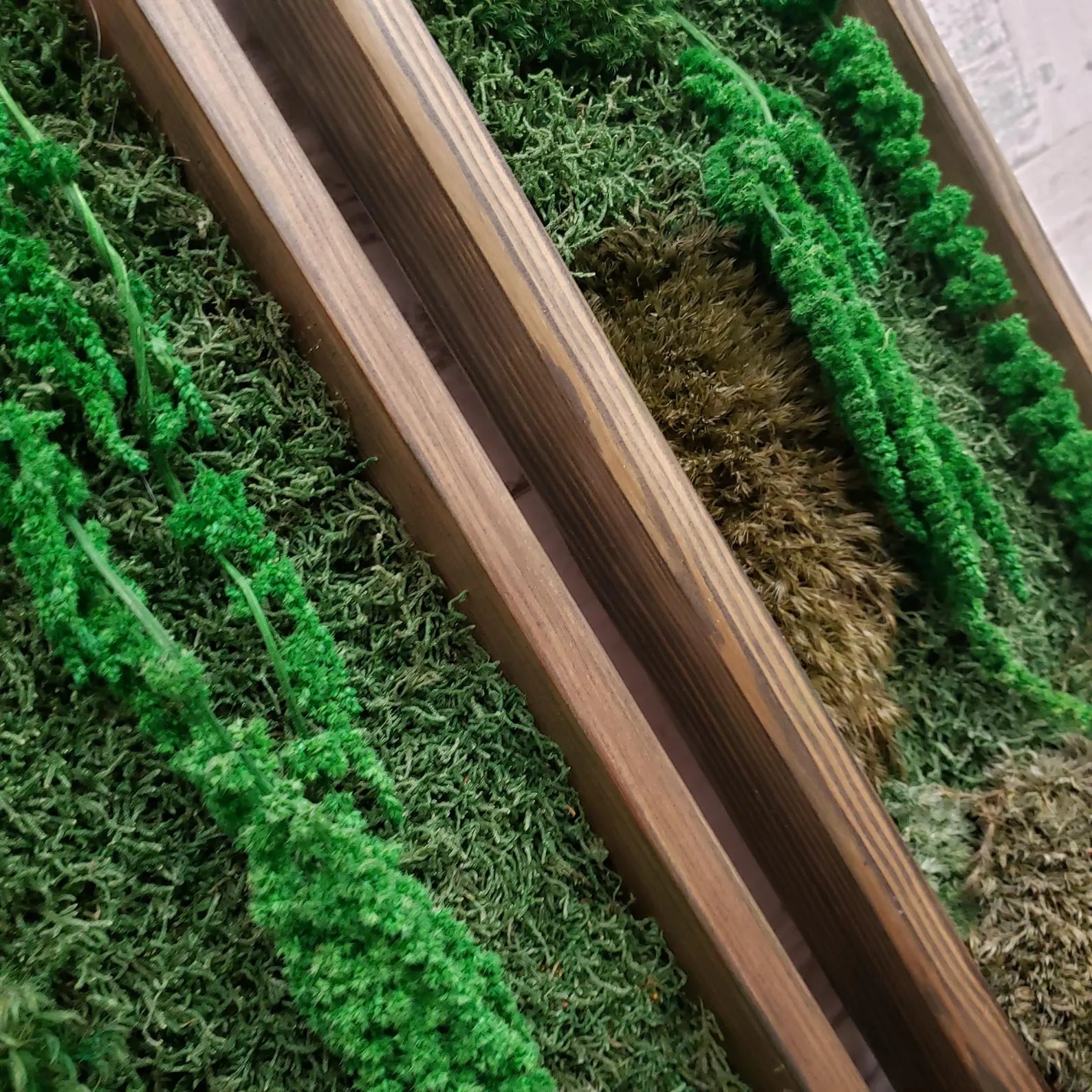 Large Moss Botanical Triptych – Handmade Wall Panel Nature Composition Eco Decor