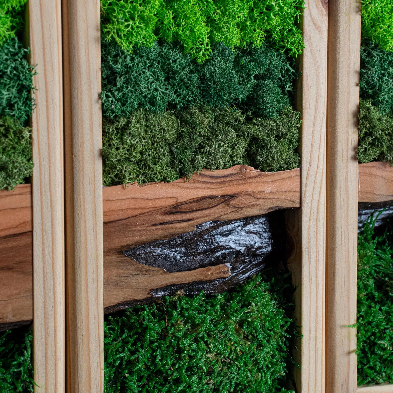 Preserved Moss and Olive Wood Wall Art – Rustic Wooden Frame Decor, Unique Gift