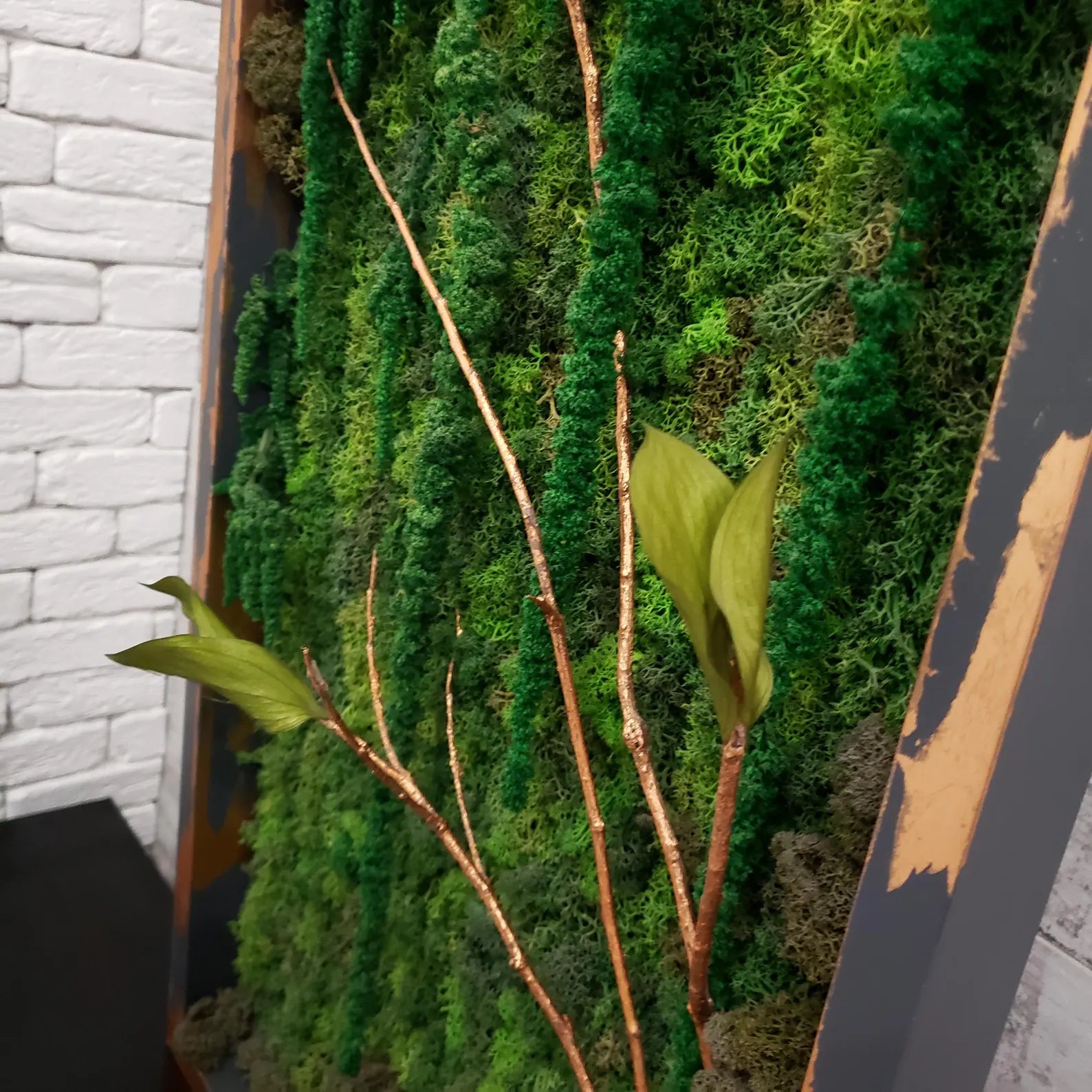 Moss Art Wall Decor – Natural Preserved Moss with Aluminum Frame