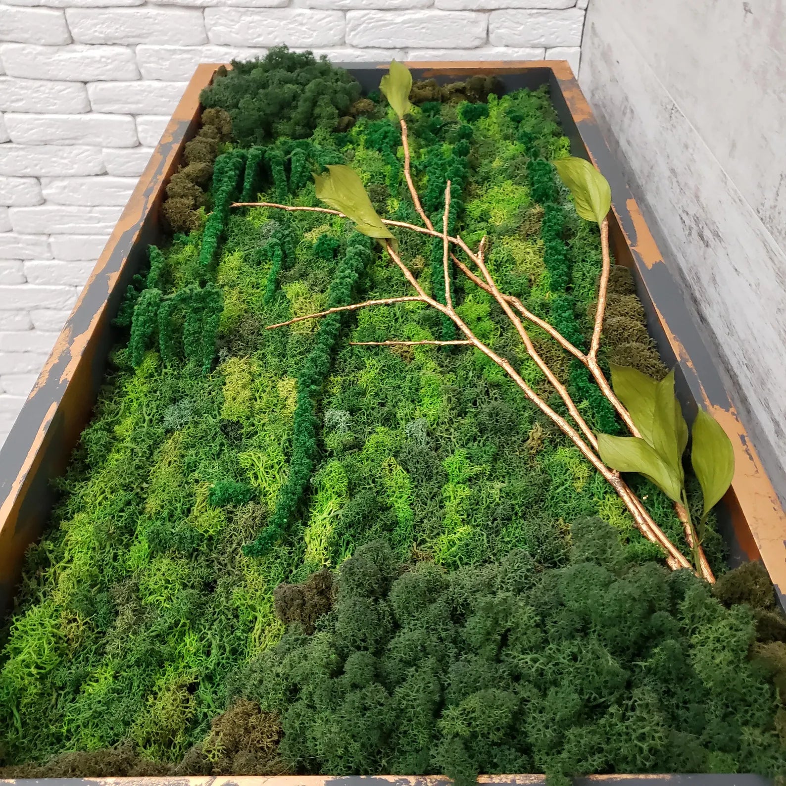 Moss Art Wall Decor – Natural Preserved Moss with Aluminum Frame