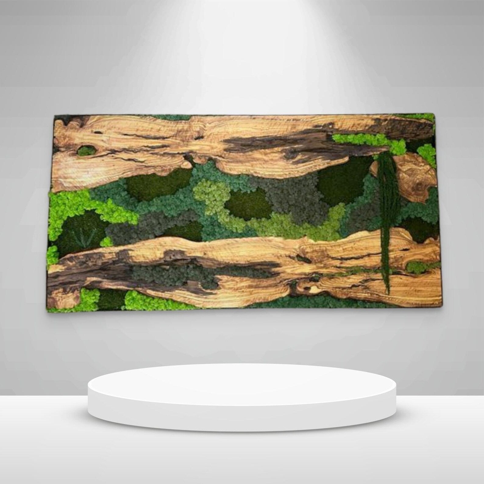 Moss Wall Decor – Wood & Preserved Moss Wall Art for Home or Office