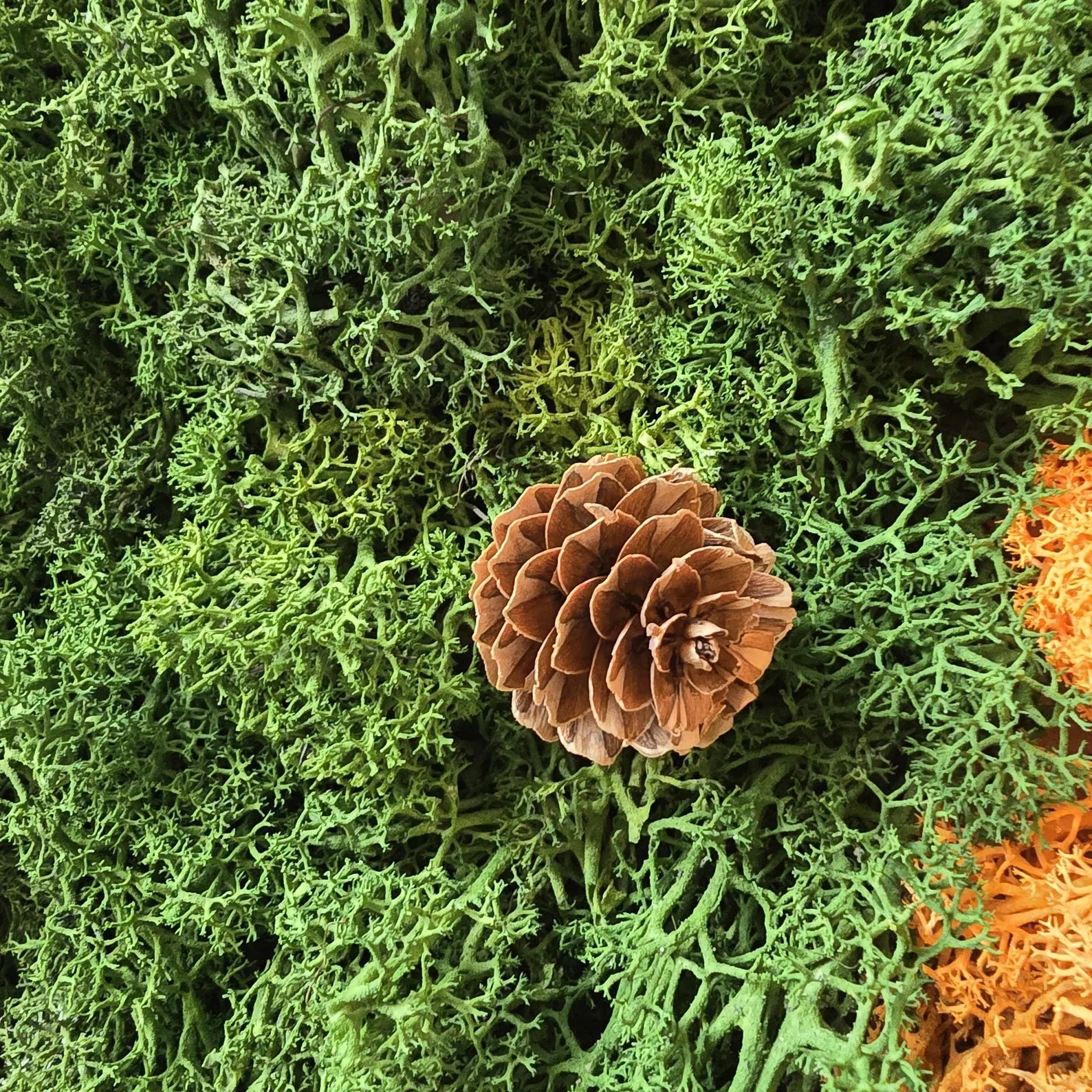 Vertical Garden Moss Wall Art – Handmade Preserved Green Wall Panel – Living Wall Decor Gift