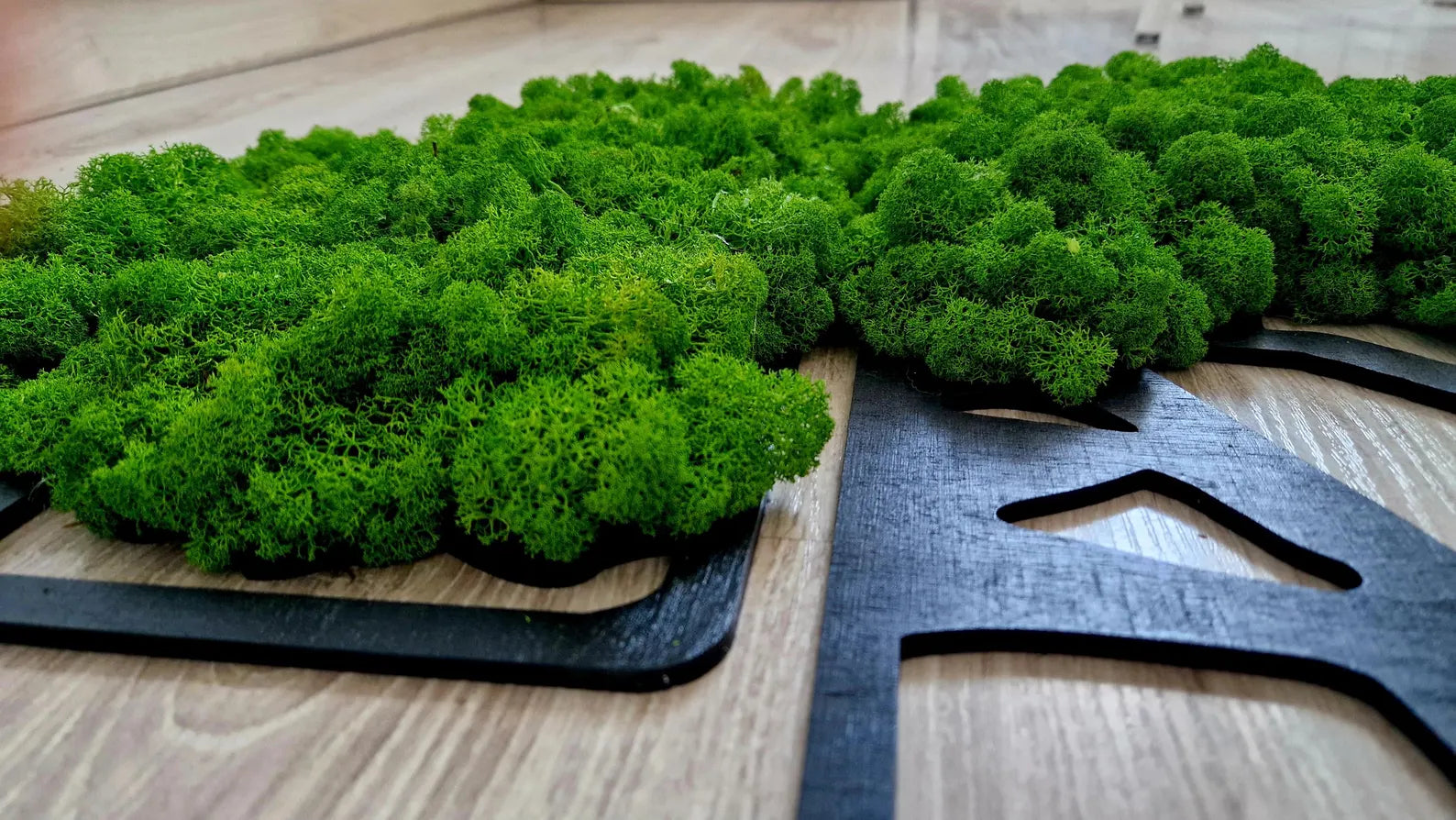 Preserved Moss Art Tree of Life – Large Wall Decor with Mixed Moss Colors (40x60 / 60x90 cm)