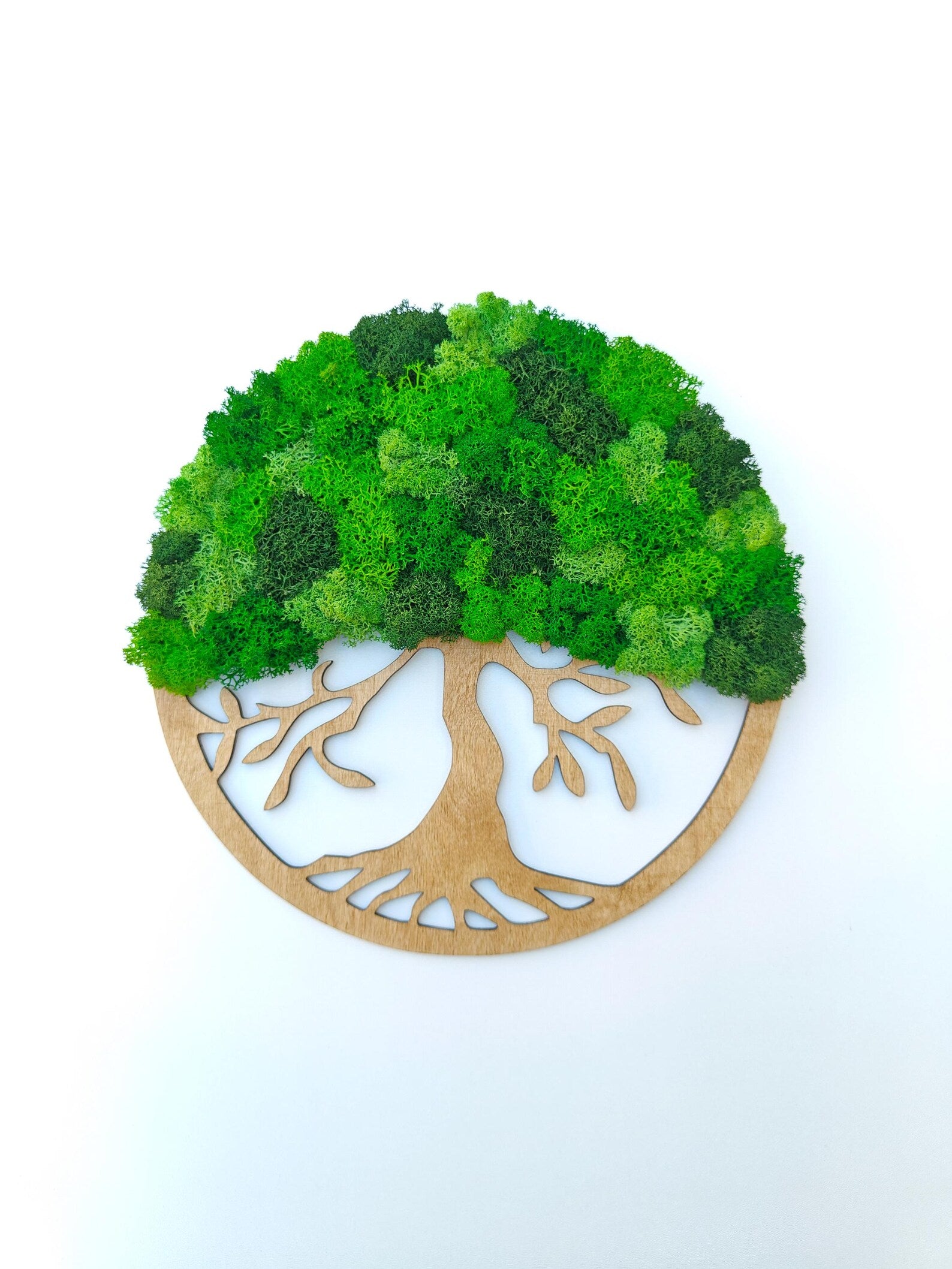 Moss Tree of Life Wall Art – Handmade Green Moss Wall Decor | Natural Home Decoration