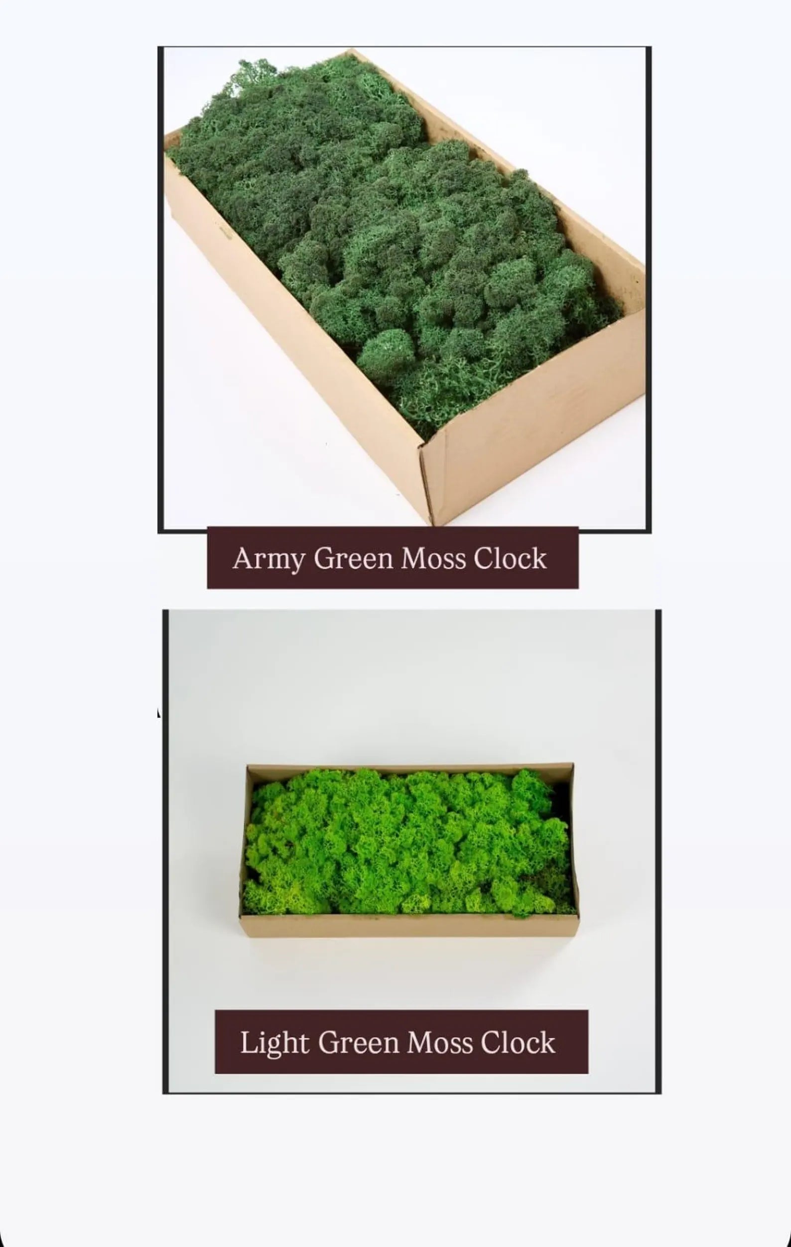 Large Moss Wall Clock – Preserved Moss & Epoxy Wood Art, Unique Home Decor Gift