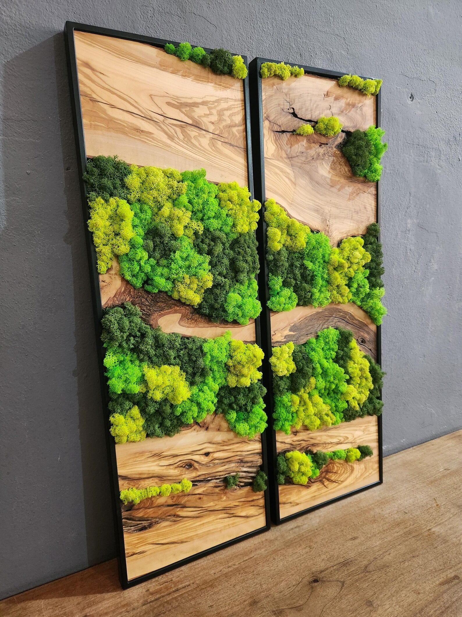 Olive Wood & Preserved Moss Wall Art – Unique Botanical Nature-Inspired Decor