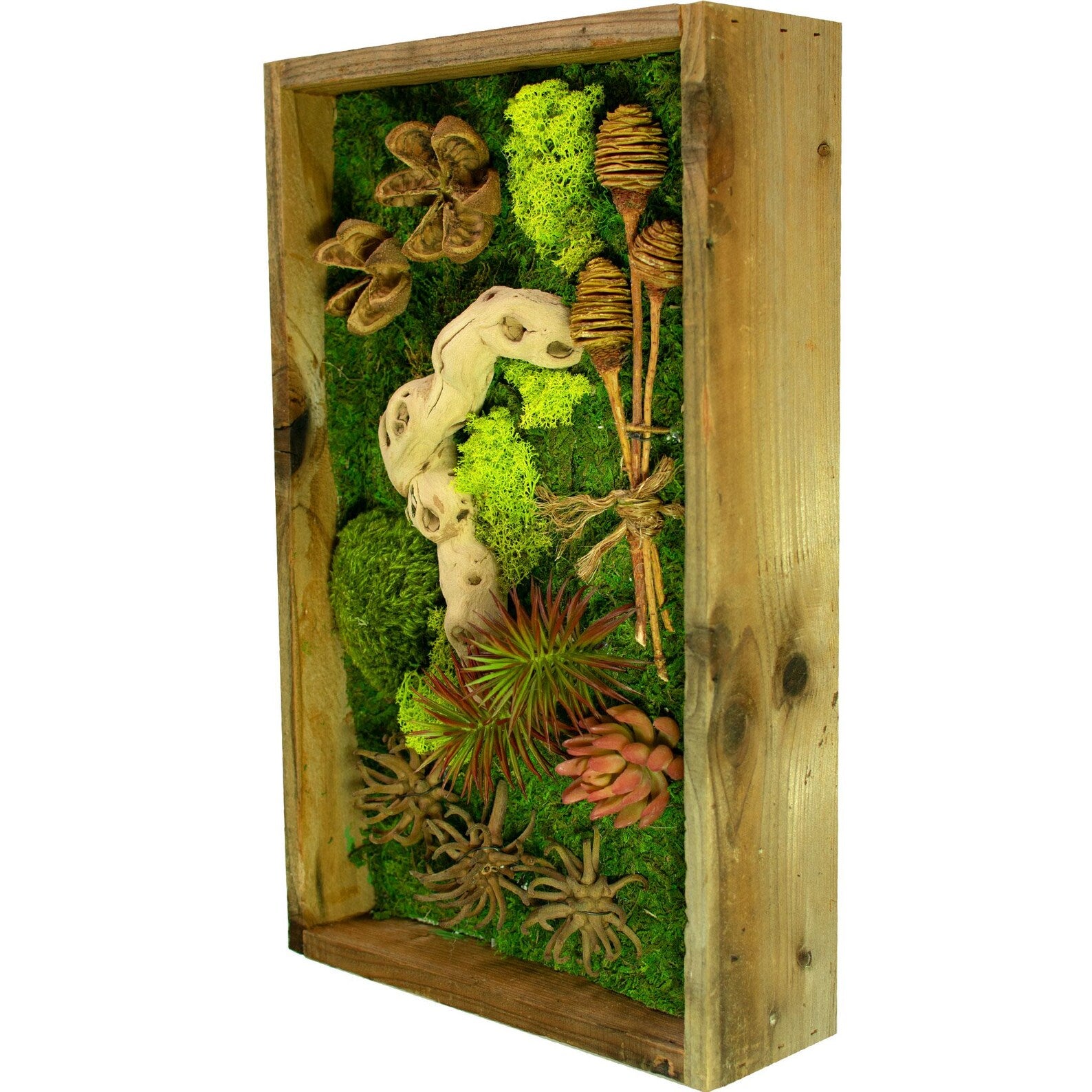 Succulent & Moss Wall Hanging – California Handmade Frame Decor 21x13in