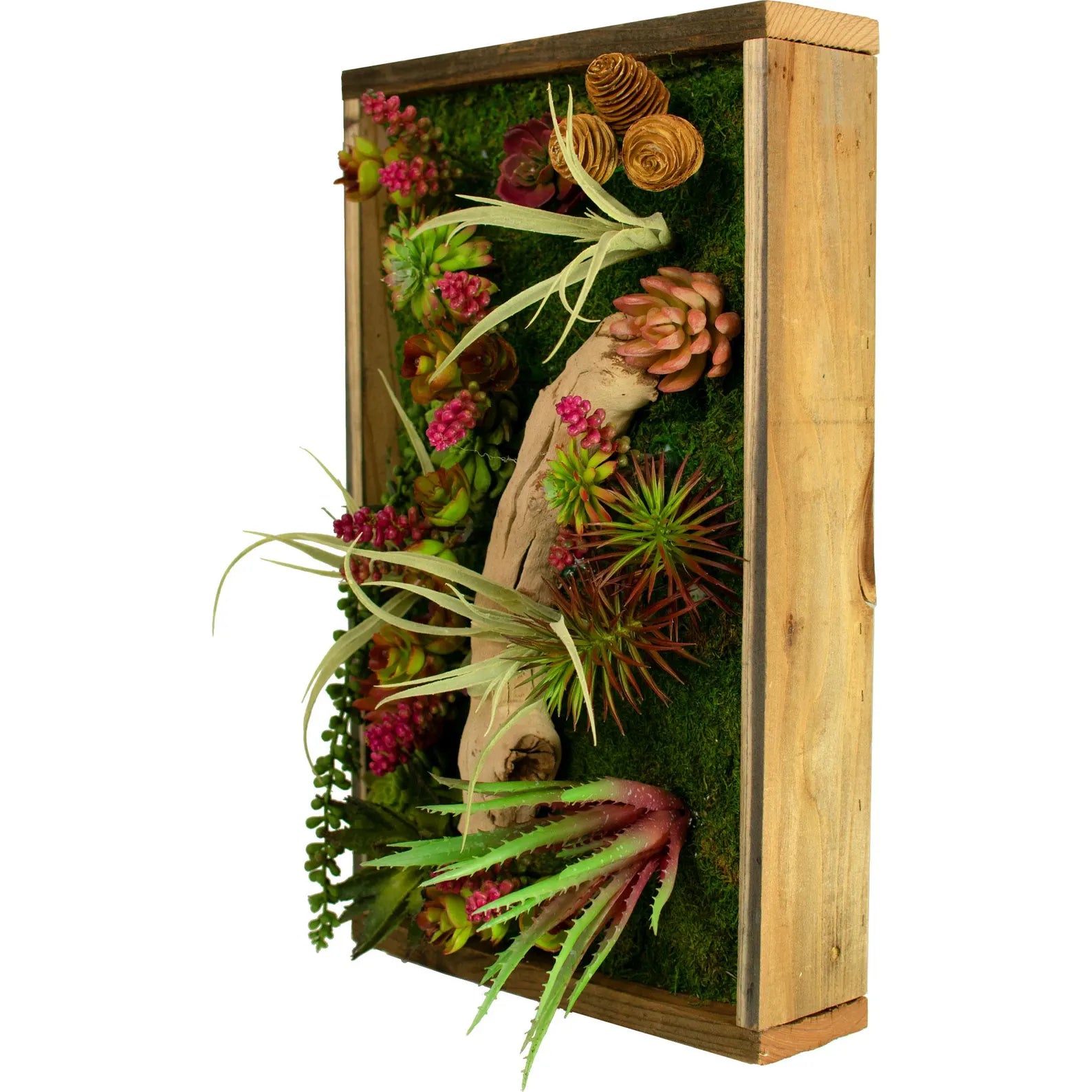 The Monterey Succulent & Preserved Moss Frame – 21x13 in Wall Hanging Decor